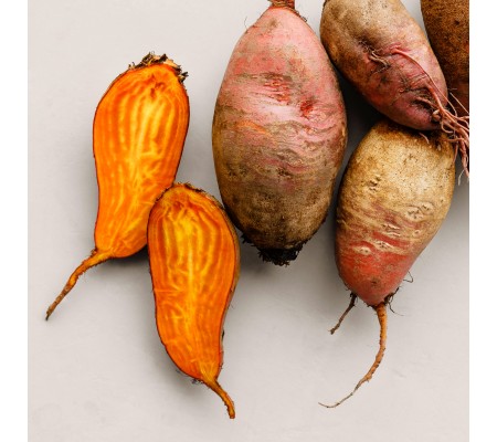 QUEEN ANNE FARMERS MARKET