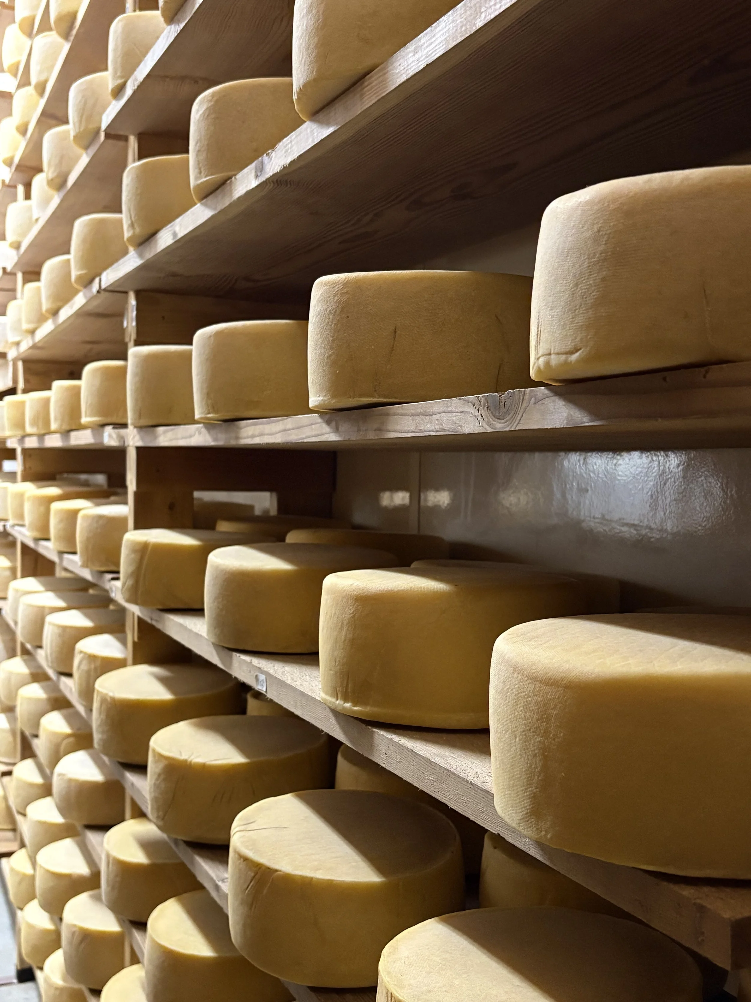 Fantello Cheese Wheels.jpeg