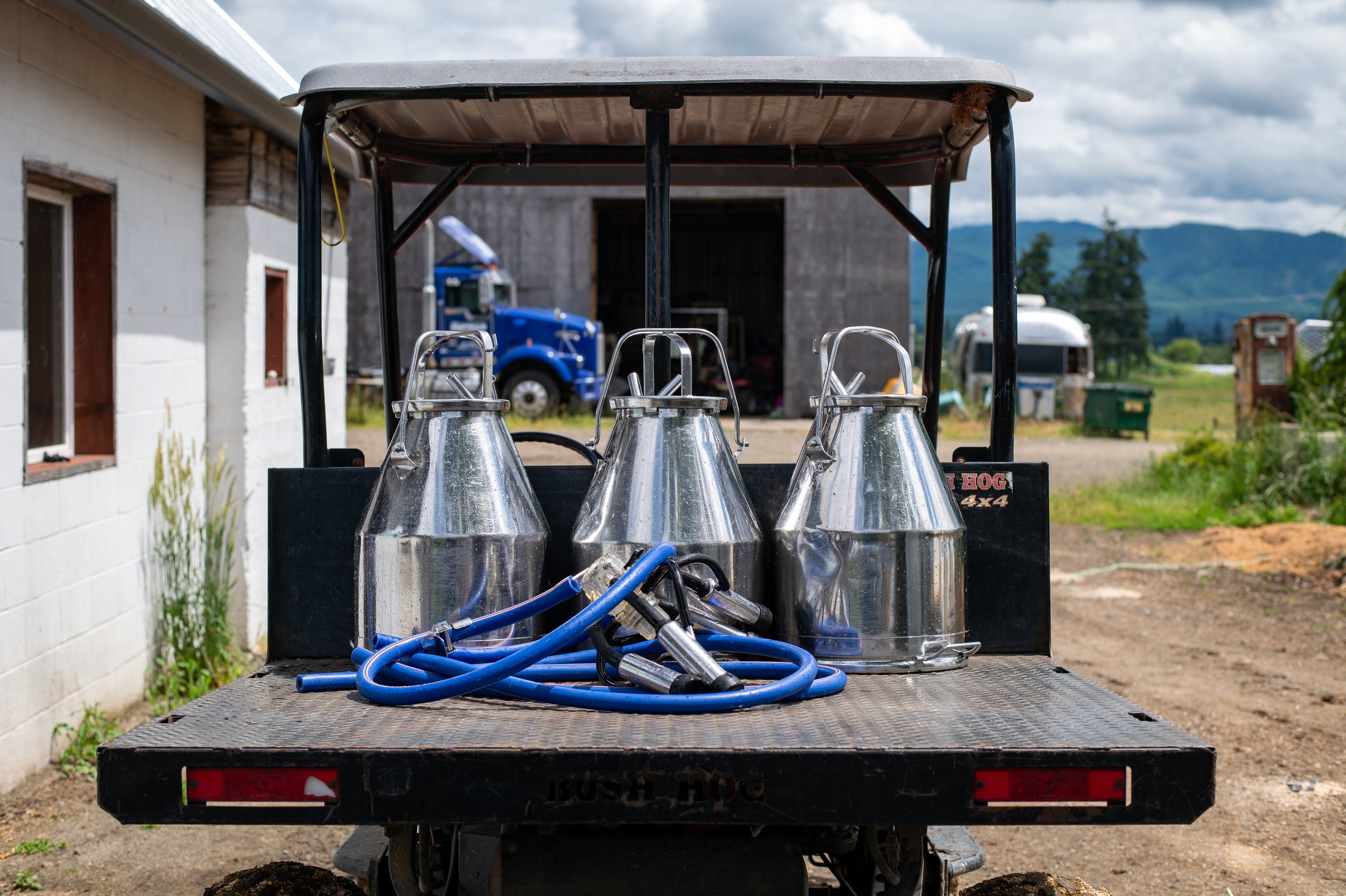 Fantello milk jugs.jpg