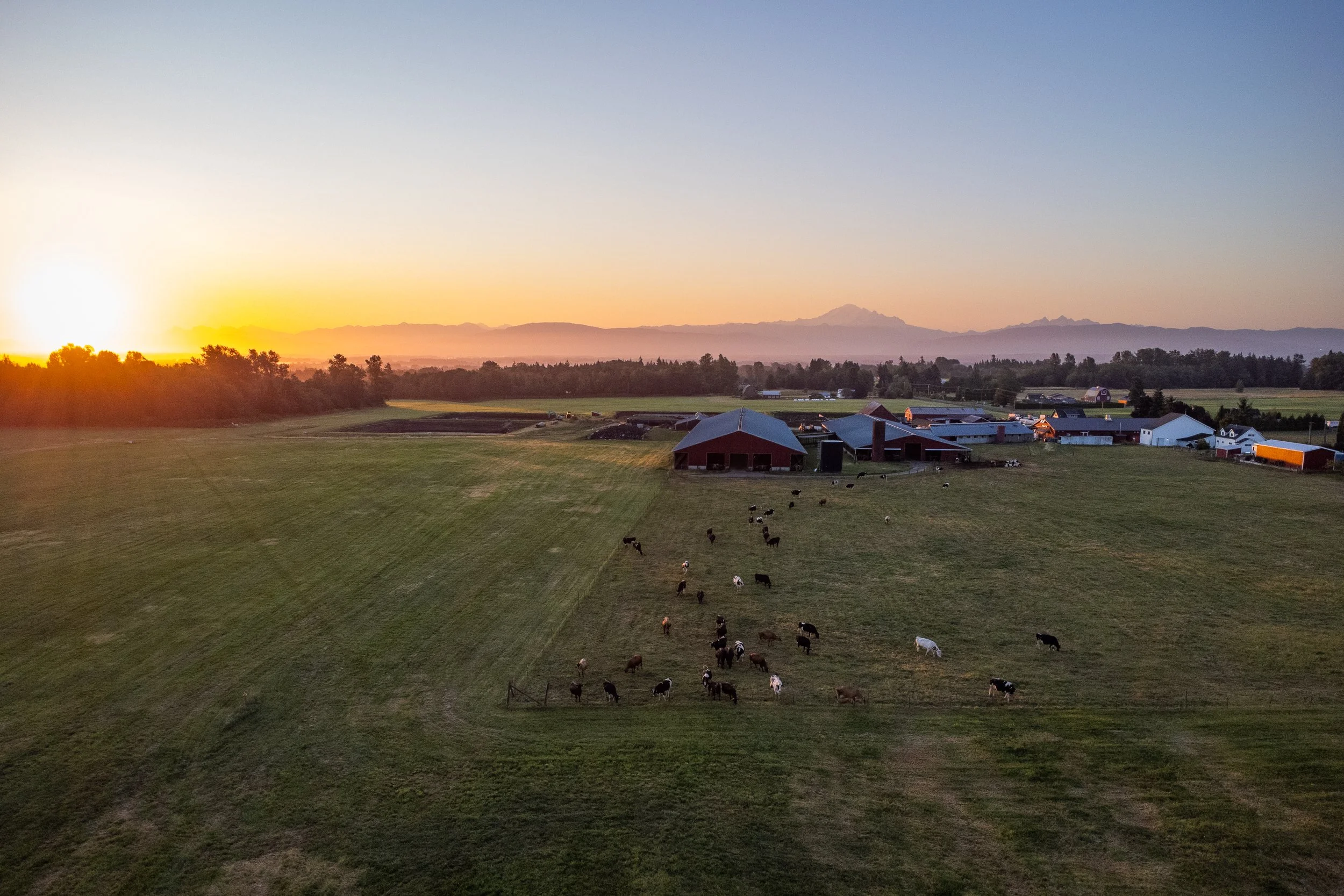 Ferndale sunrisefarmSept.jpg