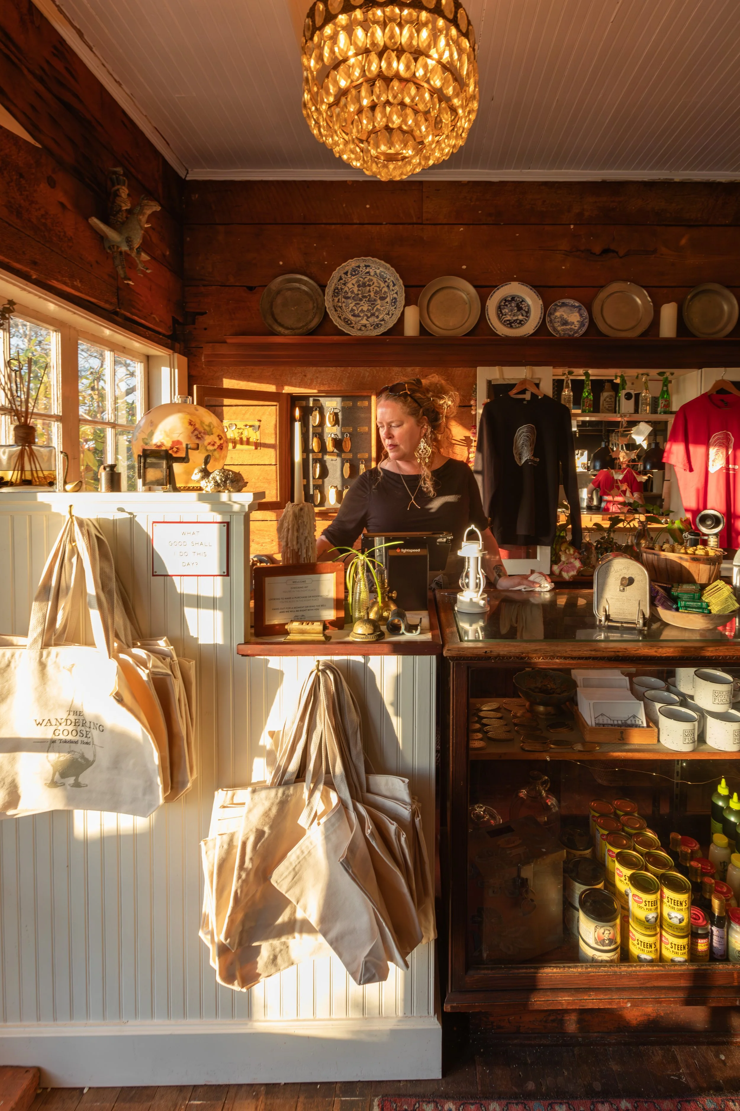 wandering goose shop.jpg
