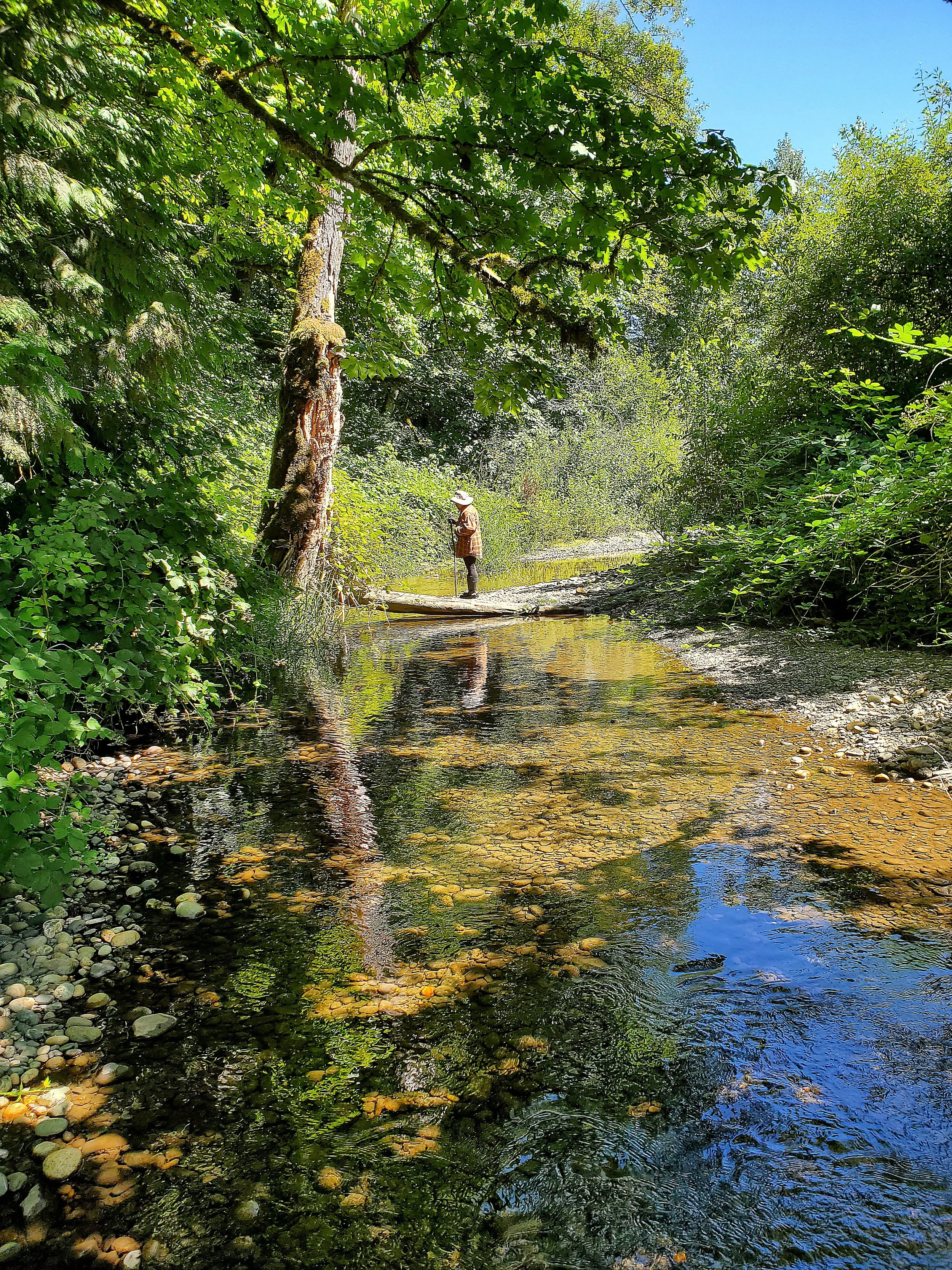 Jones Farm Lyn looking for crawdads.jpg