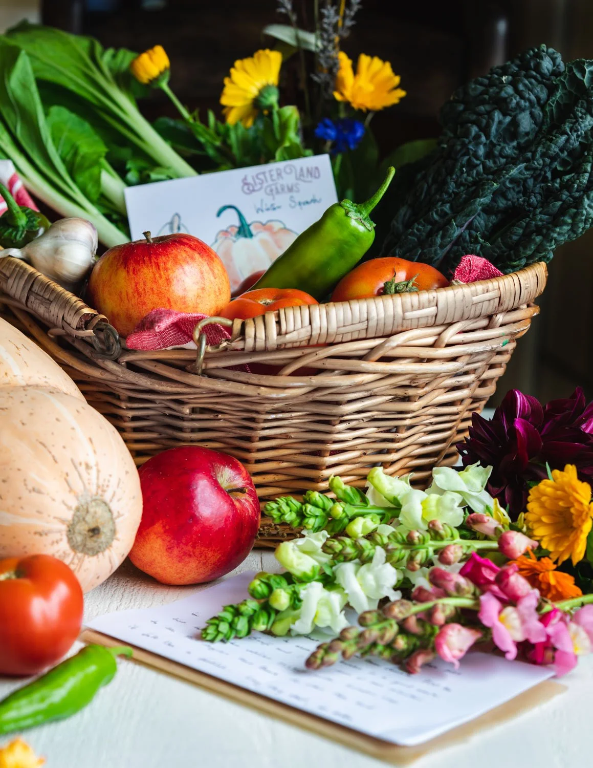 Sister Land CSA Share Photo.jpg