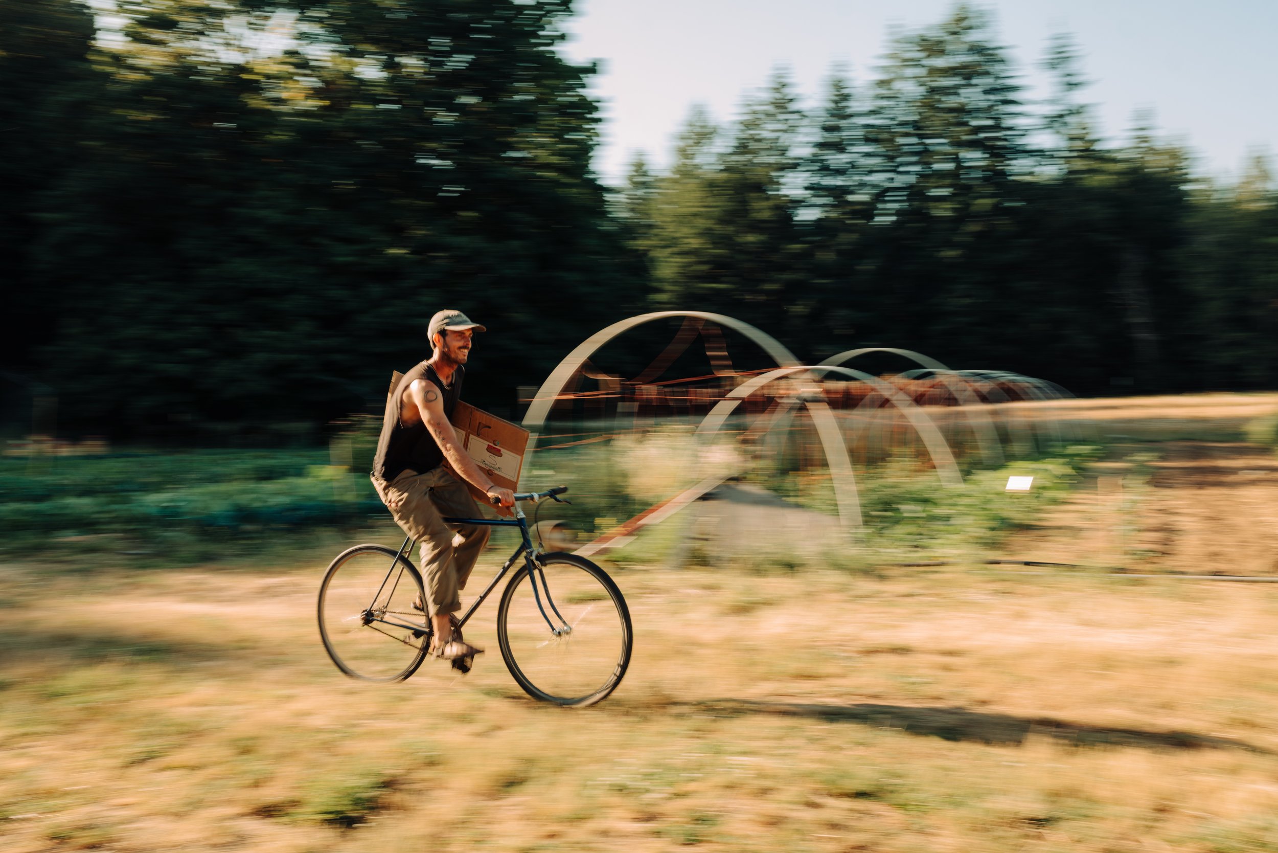 Sundowner Farm 081.jpg