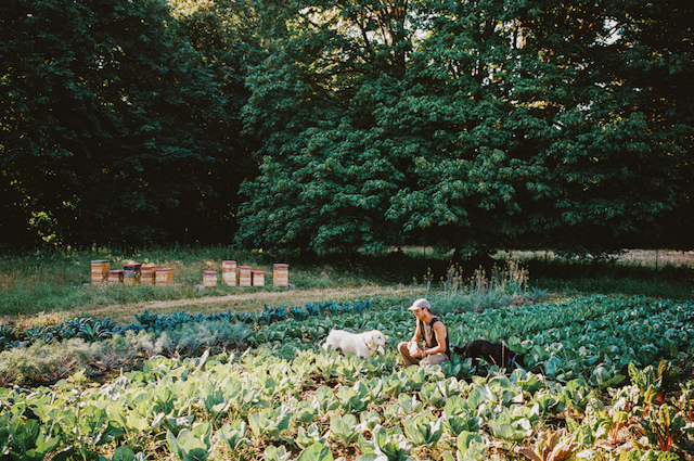 Sundowner Farm 014 - Caleb Poppe.png