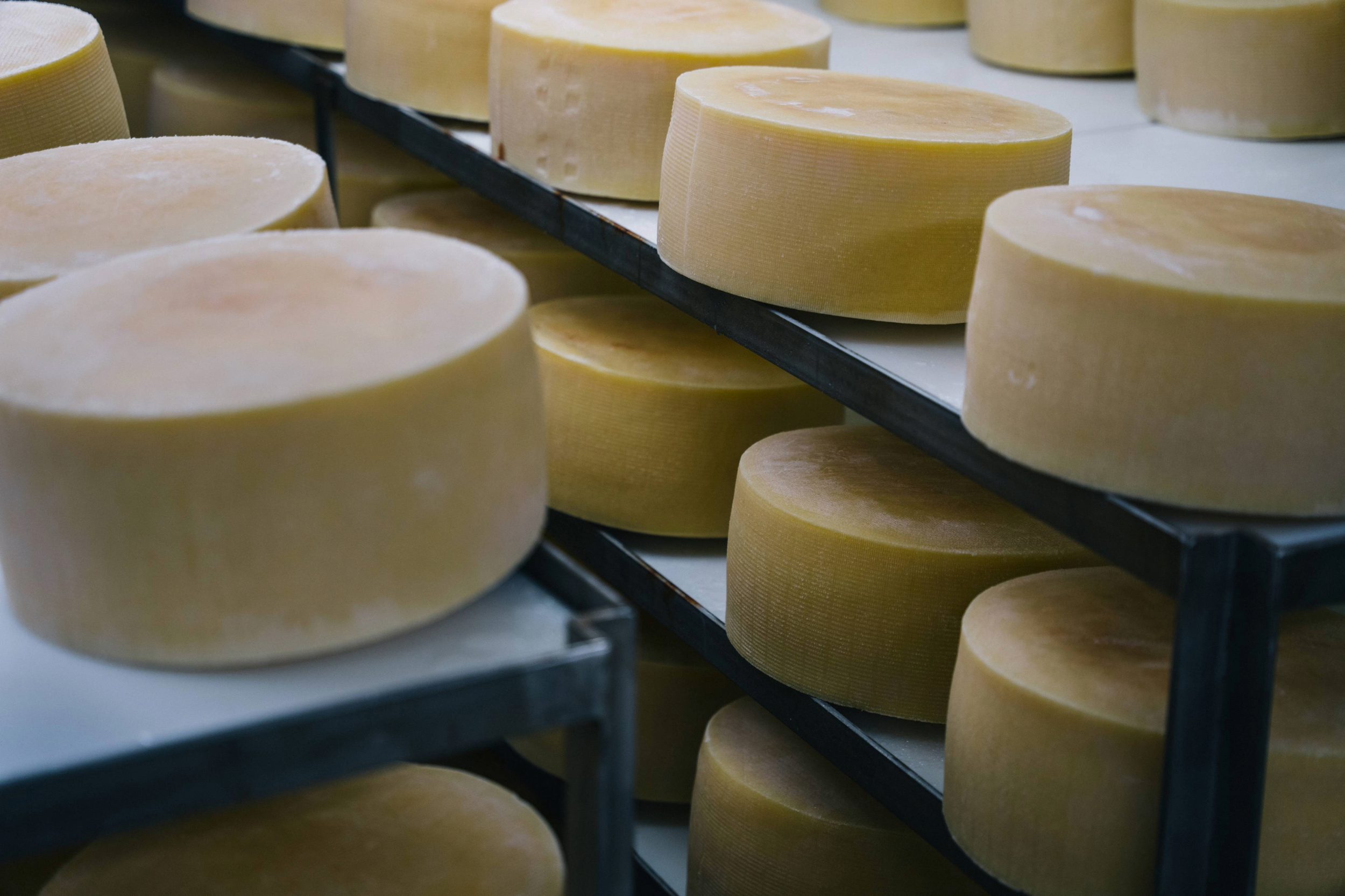 Ferndale Cheese (1).png