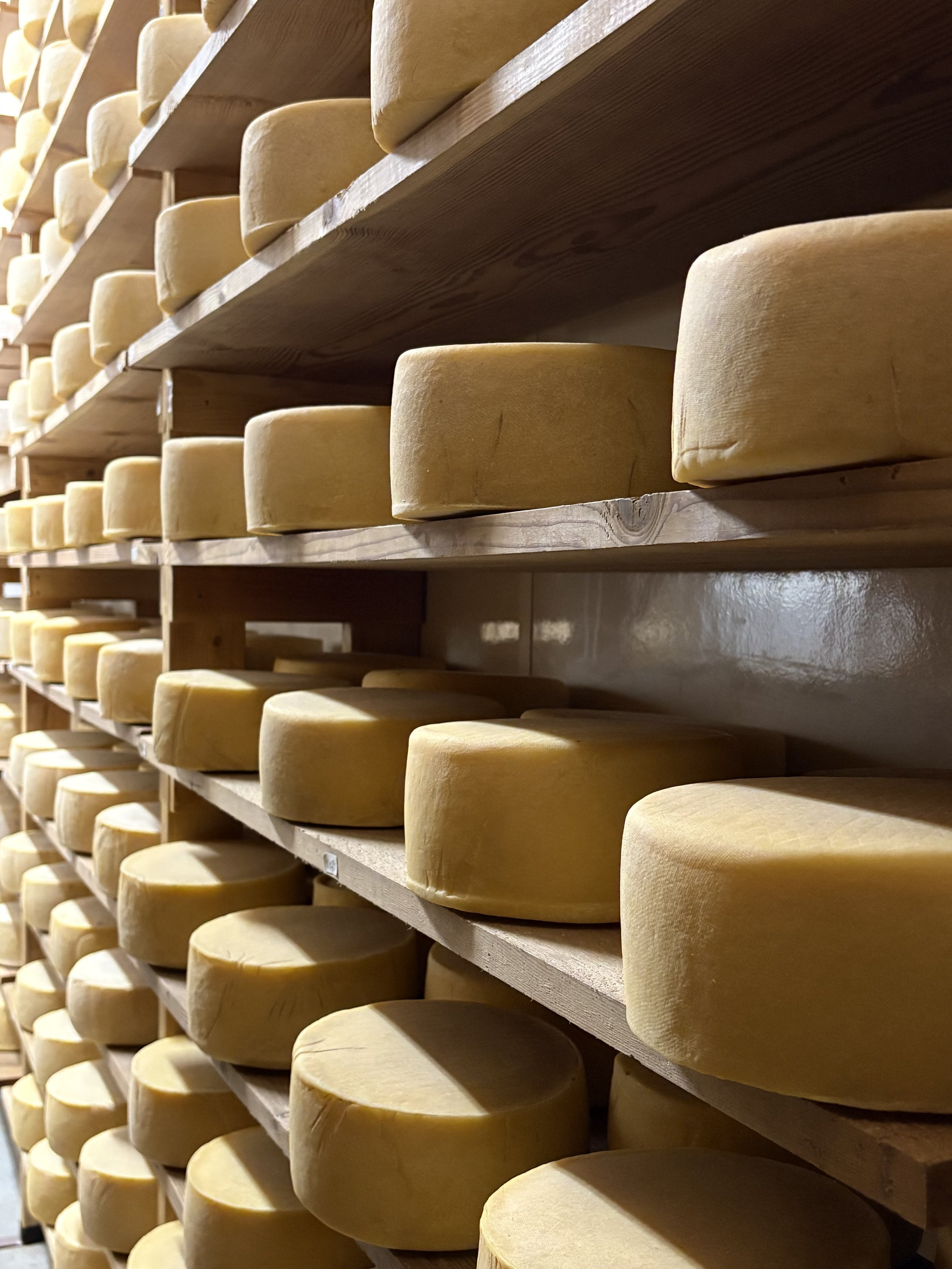 Fantello Cheese Wheels.jpeg