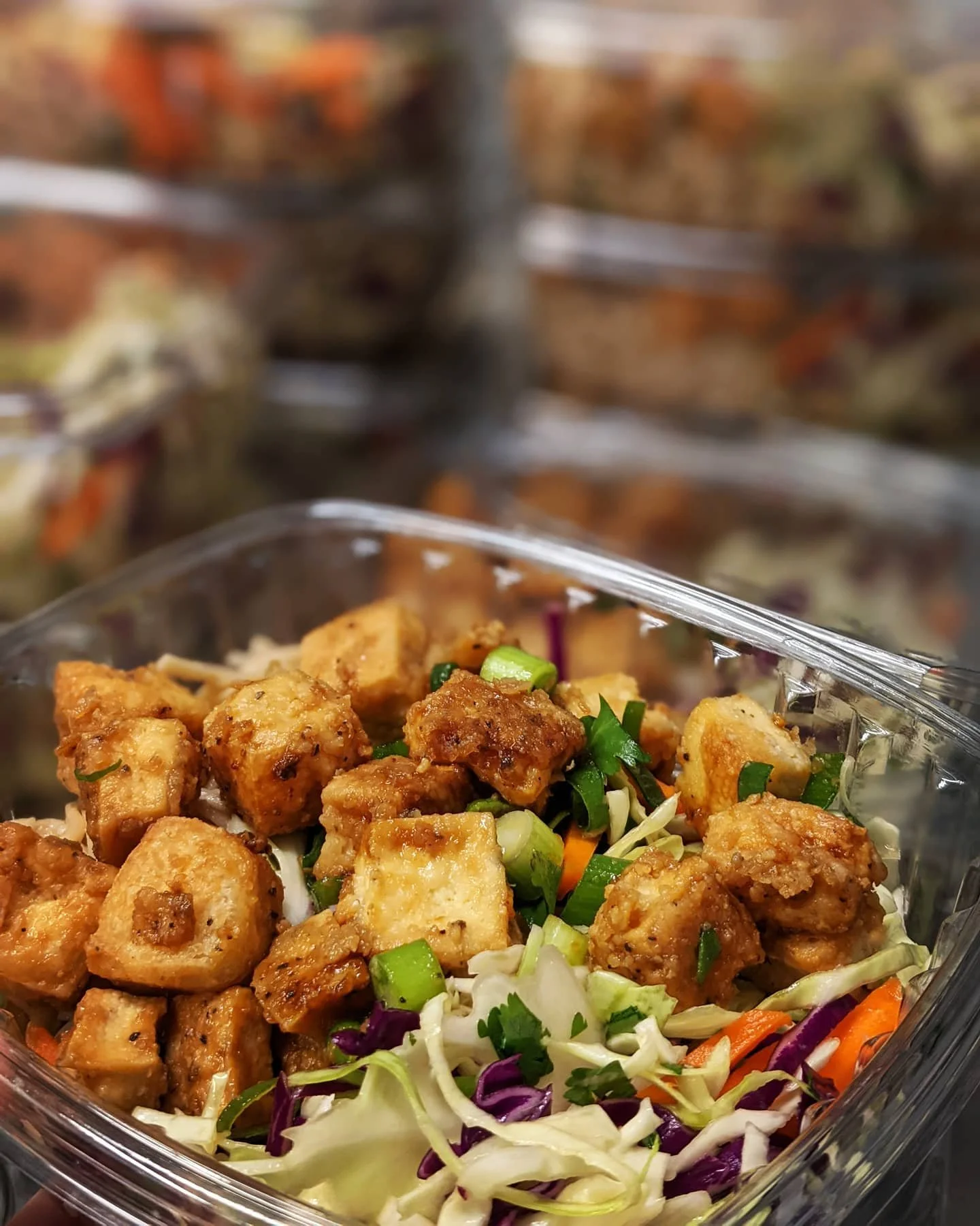 Oly Food Co-op Meal.jpg