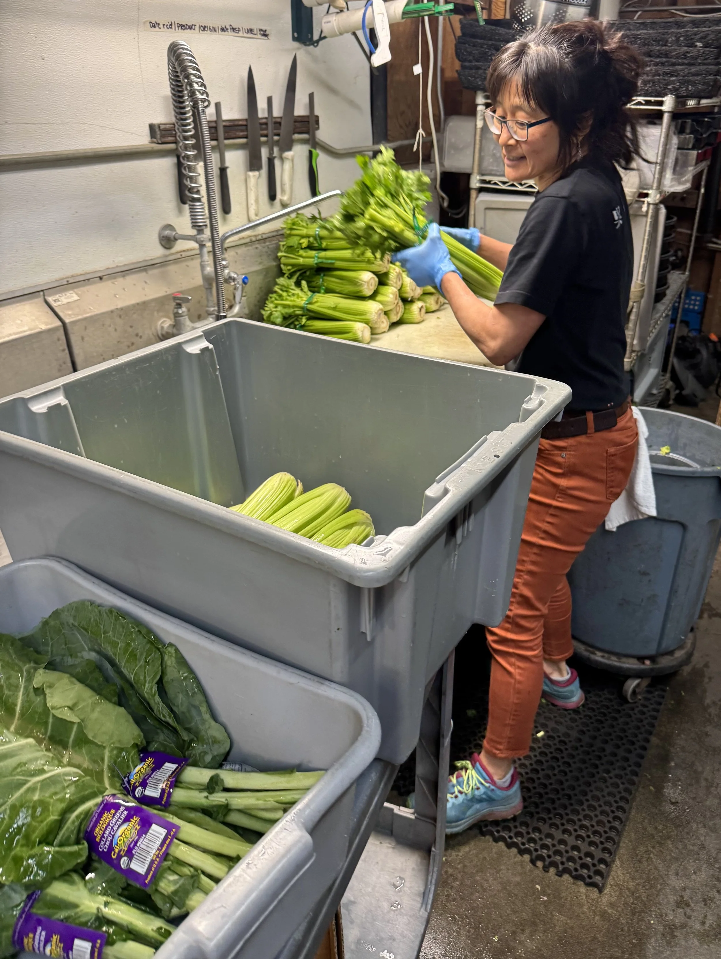 Oly Food Co-op Celery.jpeg