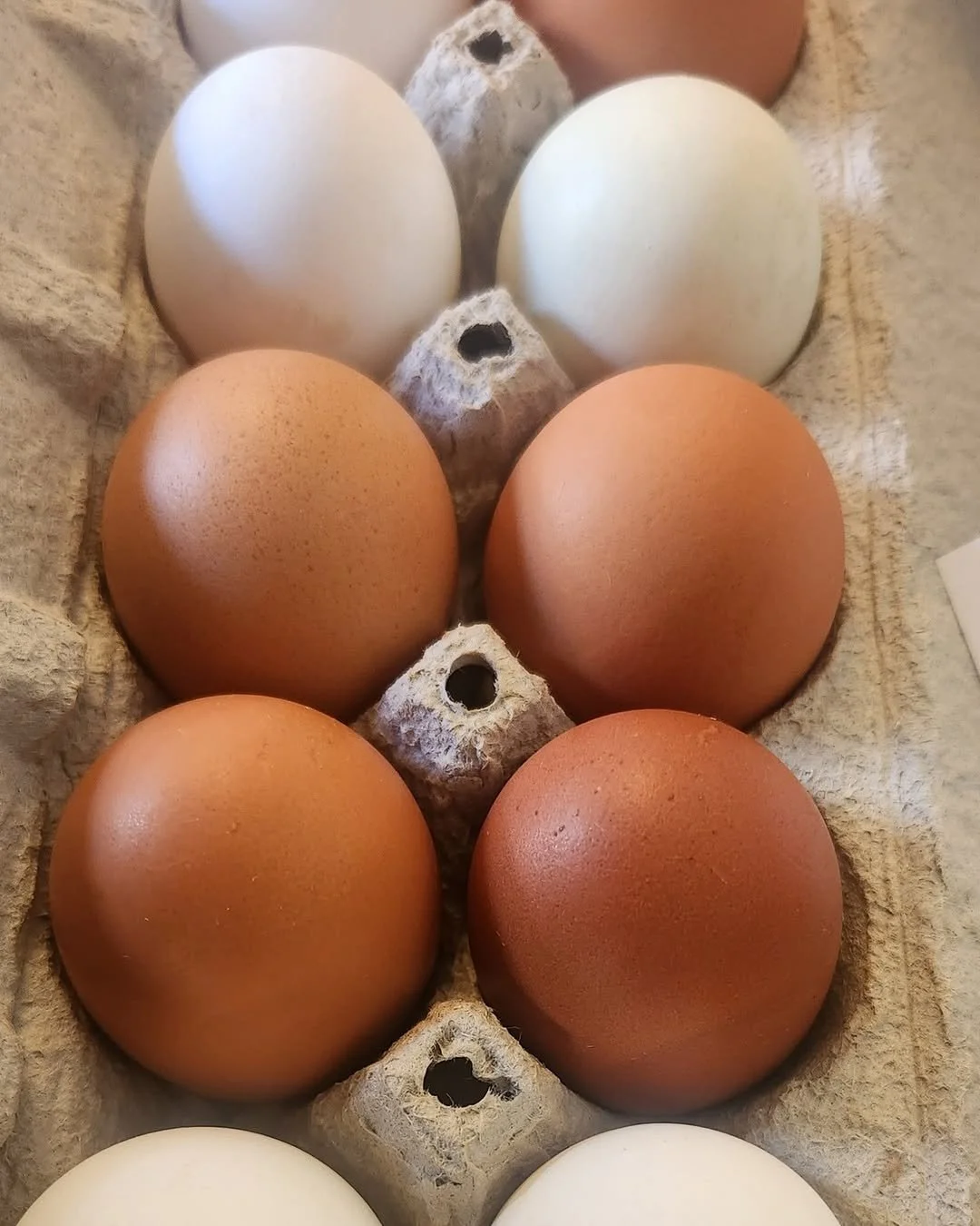 Farm Flourish eggs.jpg