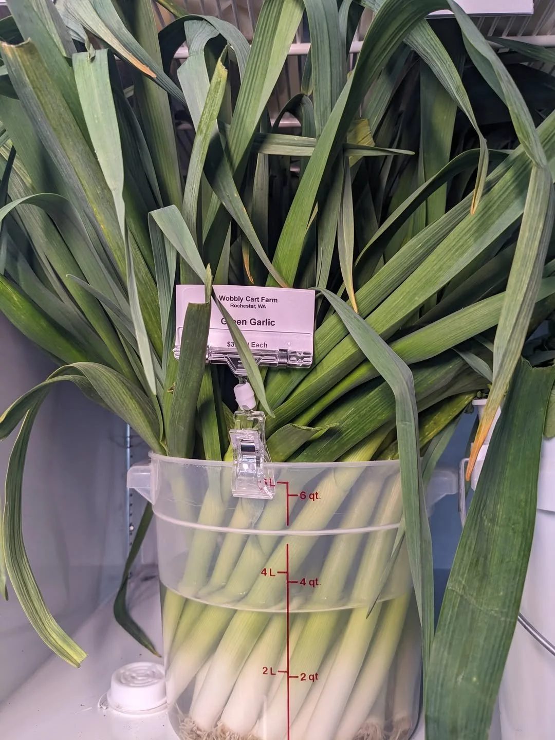 Farm Flourish Onions.jpg