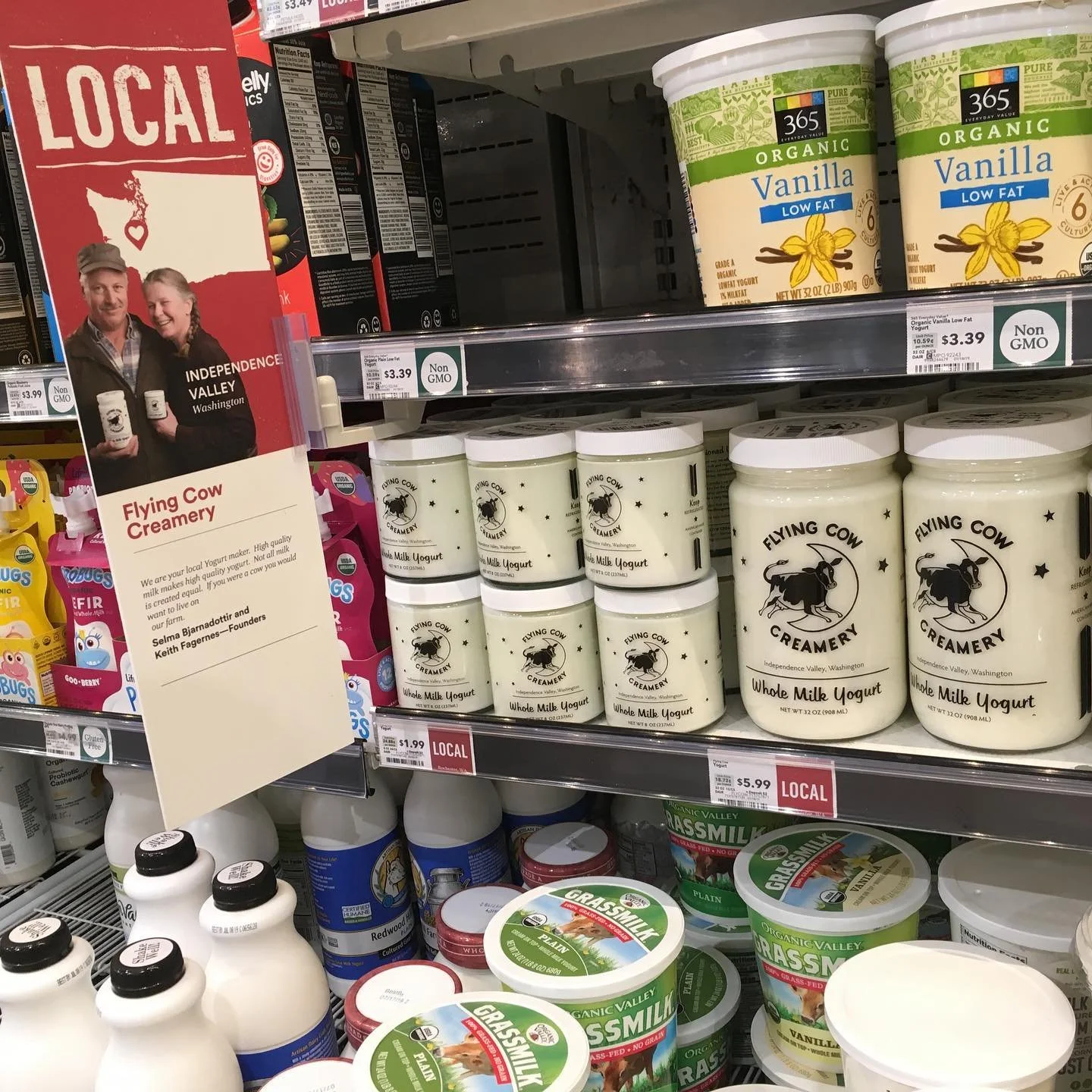 Flying Cow Yogurt.jpg
