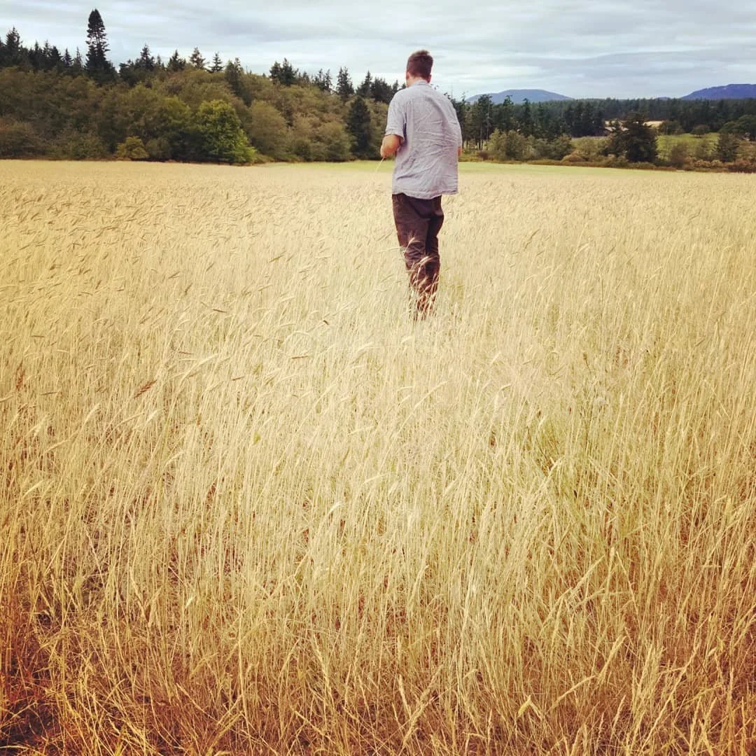 Barn Owl Bakery/Farm, Lopez Island 