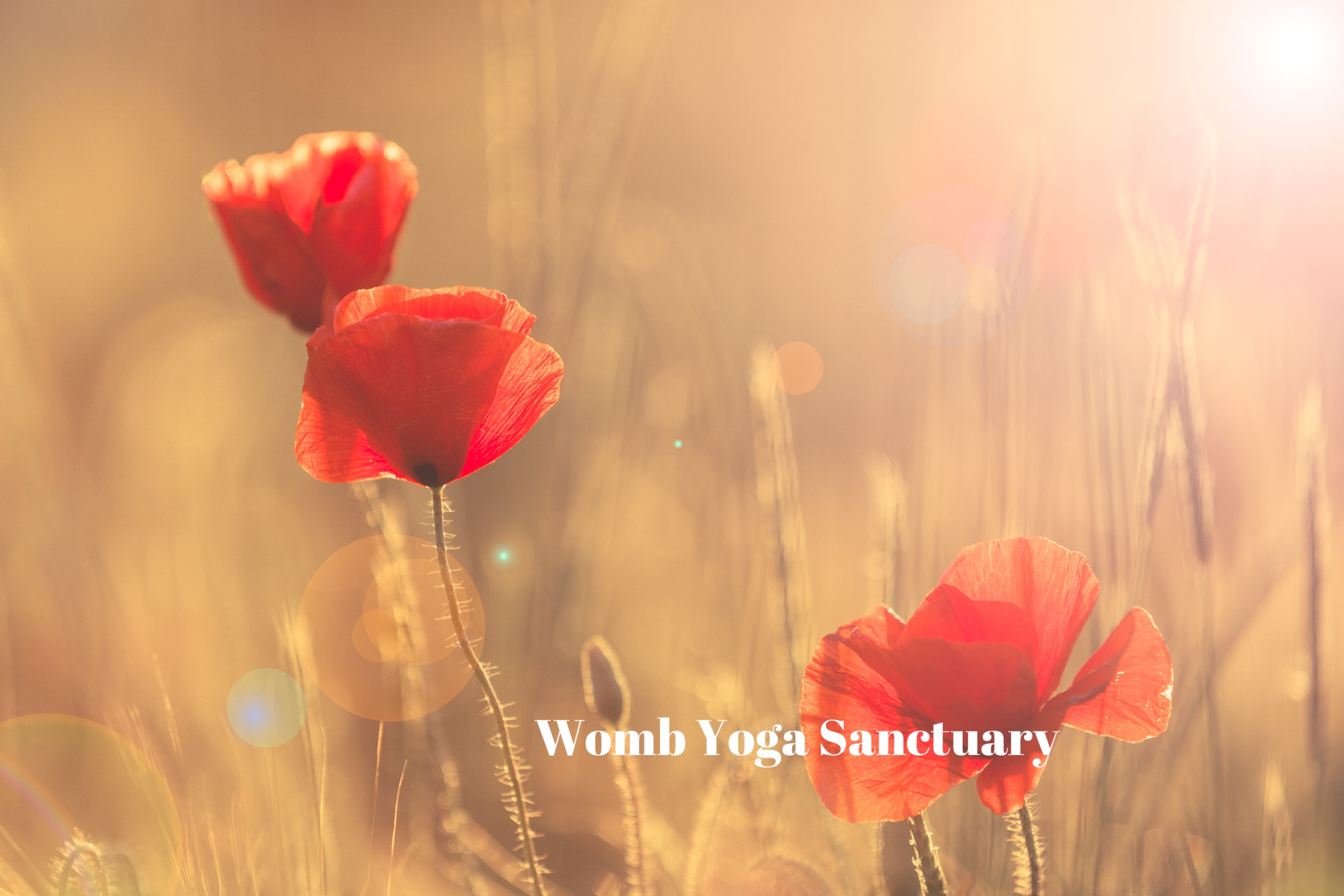 Womb Yoga Sanctuary