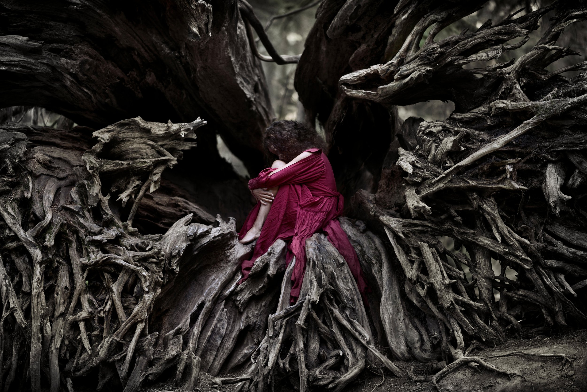 Woman Tree Red Dress.jpg