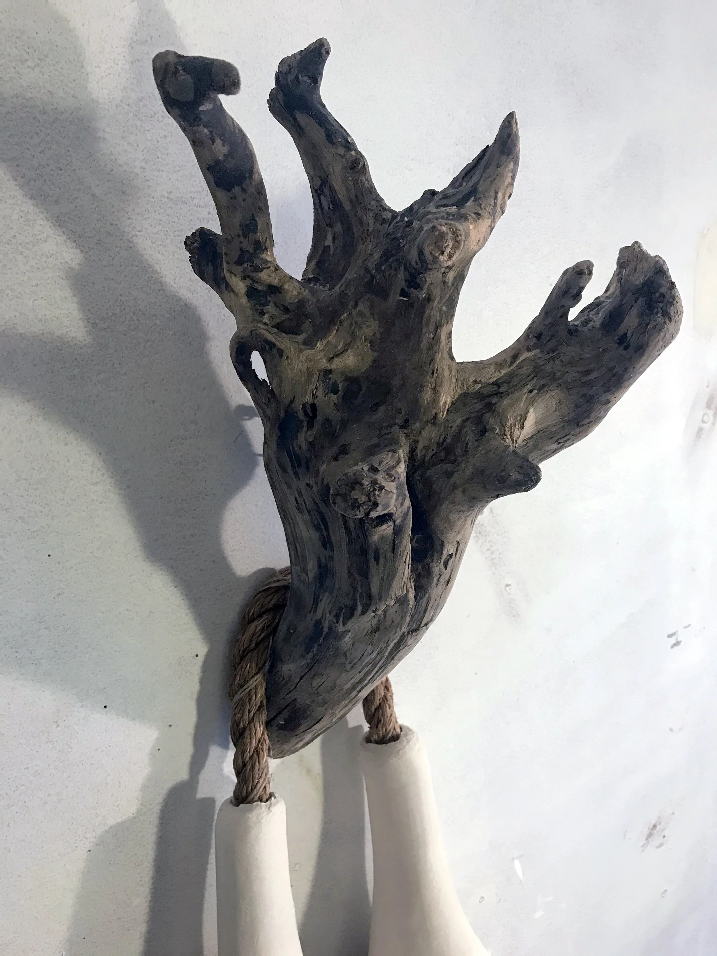Twins Final Detail Branch.jpg