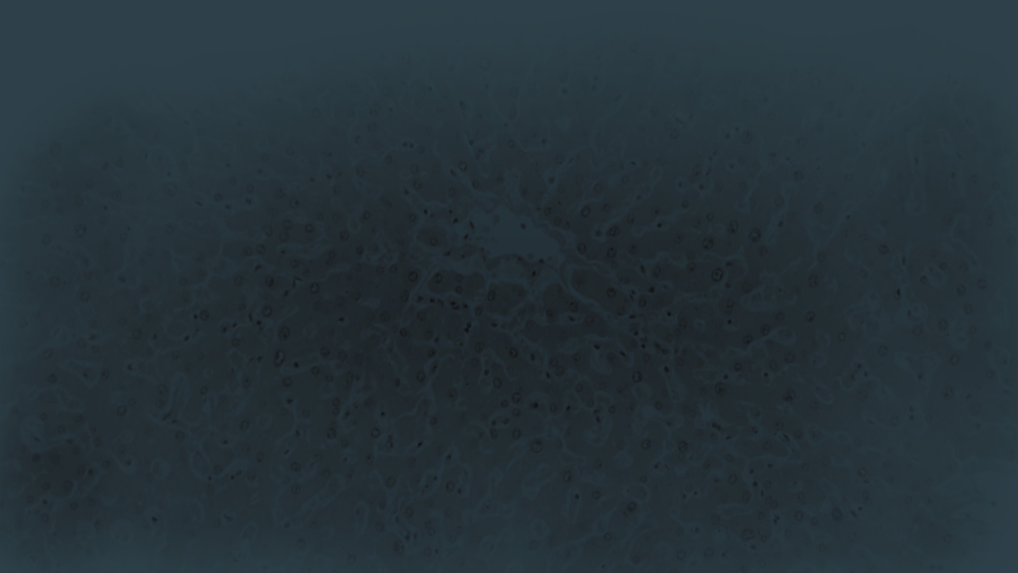 bkgrnd+pathologycolorgrade.jpg