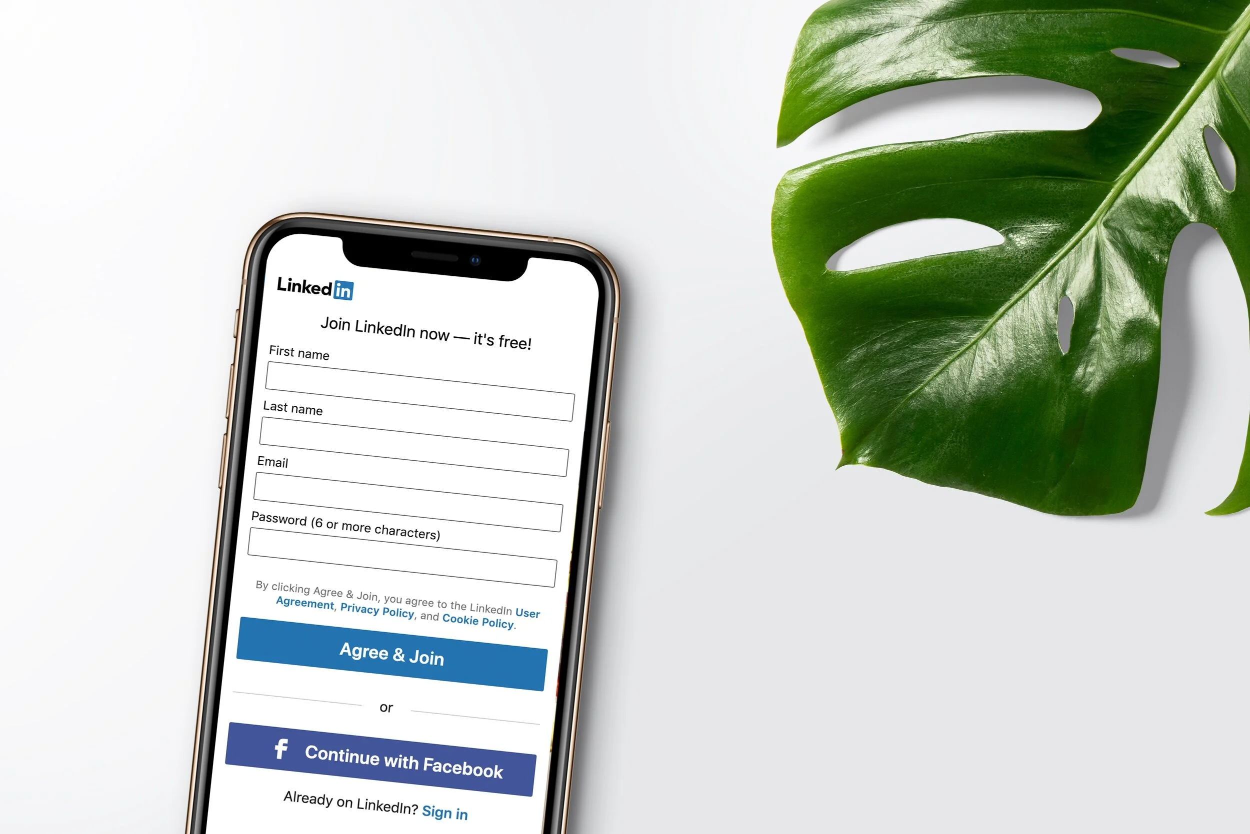 inlytics-linkedin-analytics-tool-2SE1zwzeLOs-unsplash.jpg