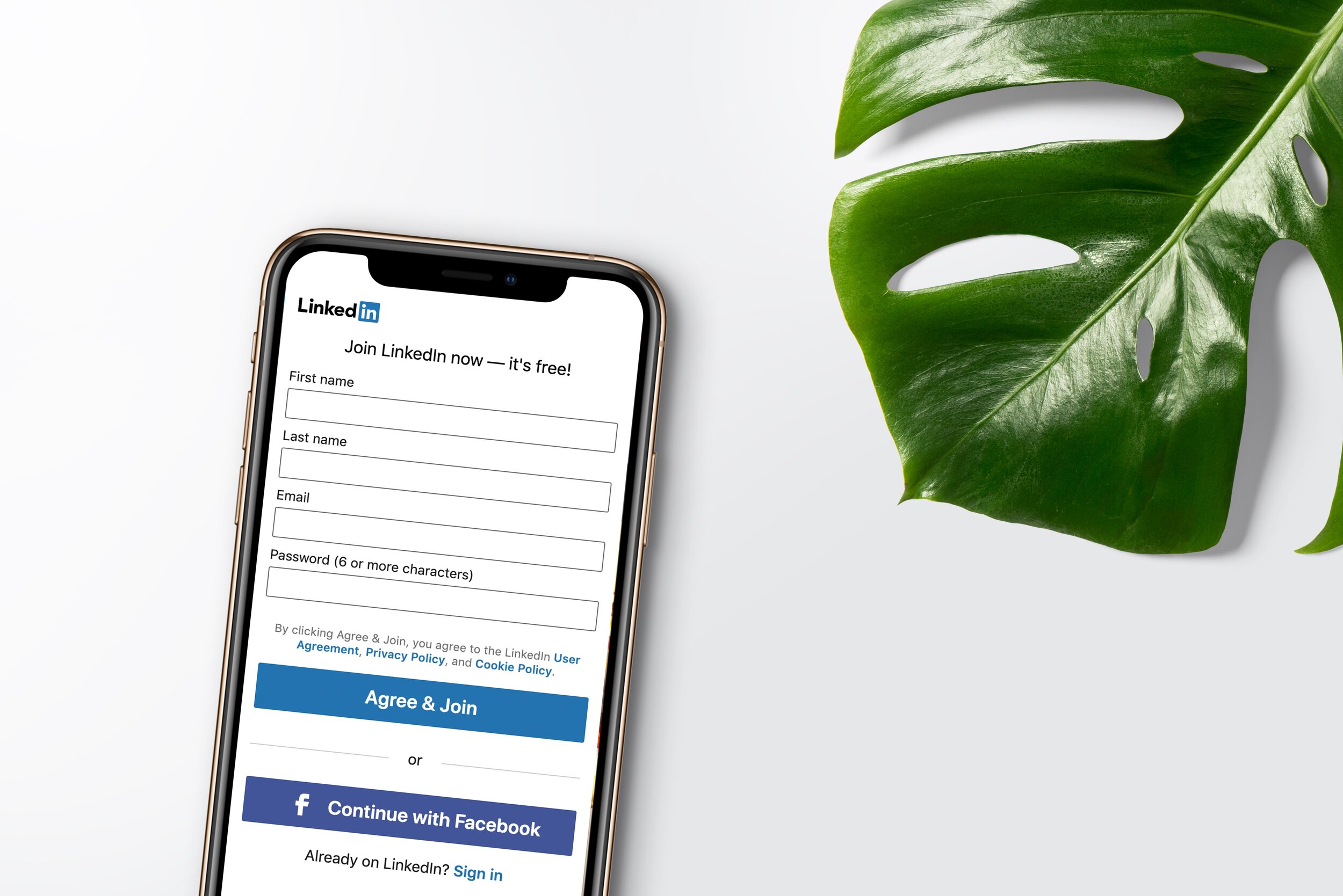 inlytics-linkedin-analytics-tool-2SE1zwzeLOs-unsplash.jpg