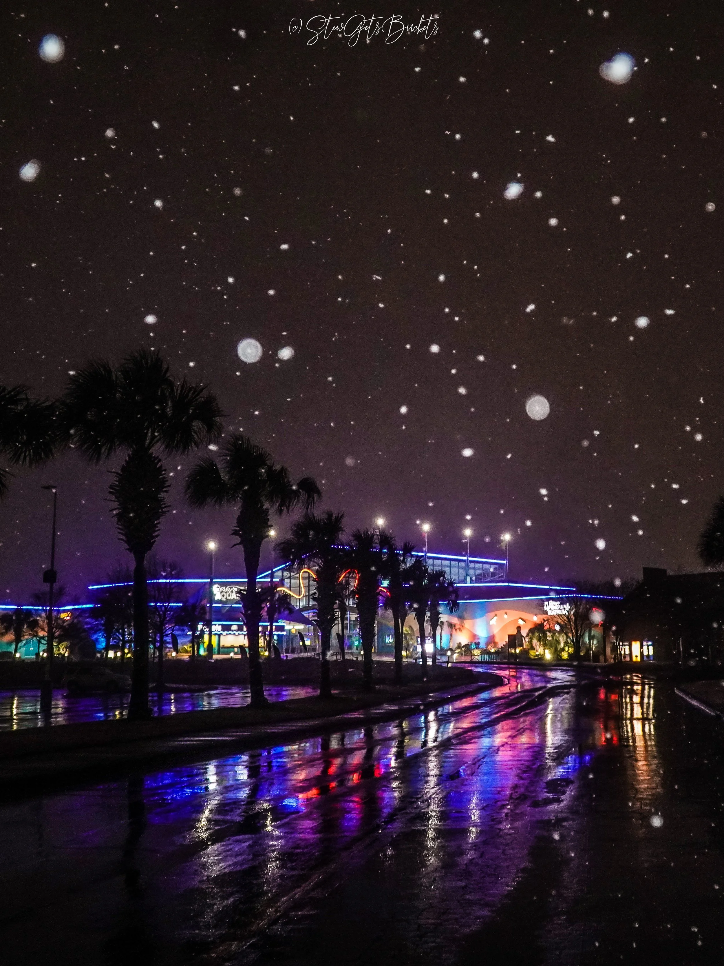 SNOW IN MYRTLE