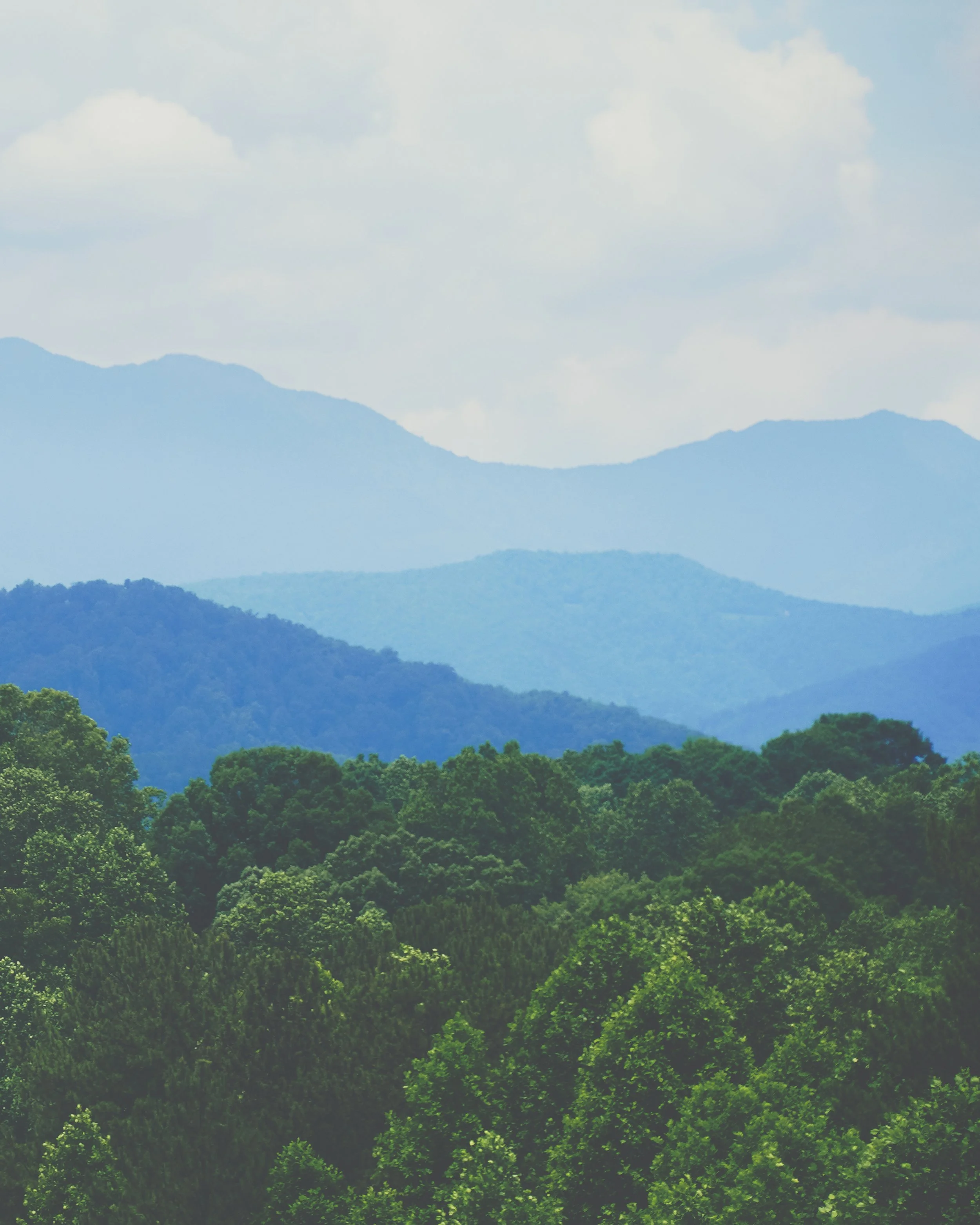 BLUE RIDGE BOYZ