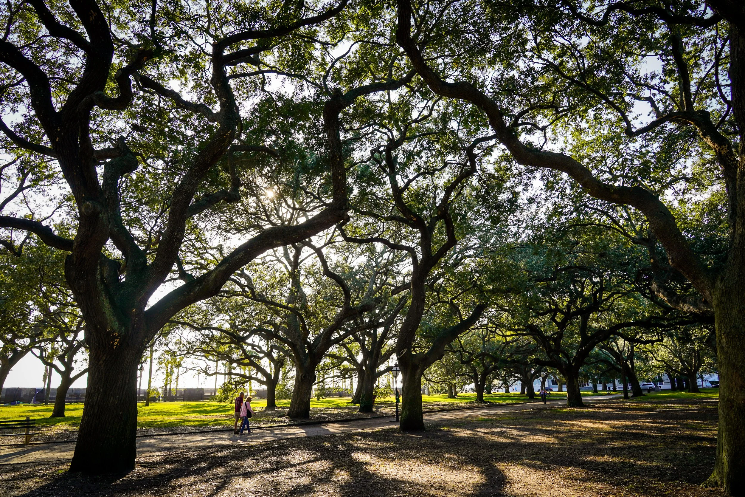 sunday stroll 2 (c) @stewgetsbuckets-1.jpg