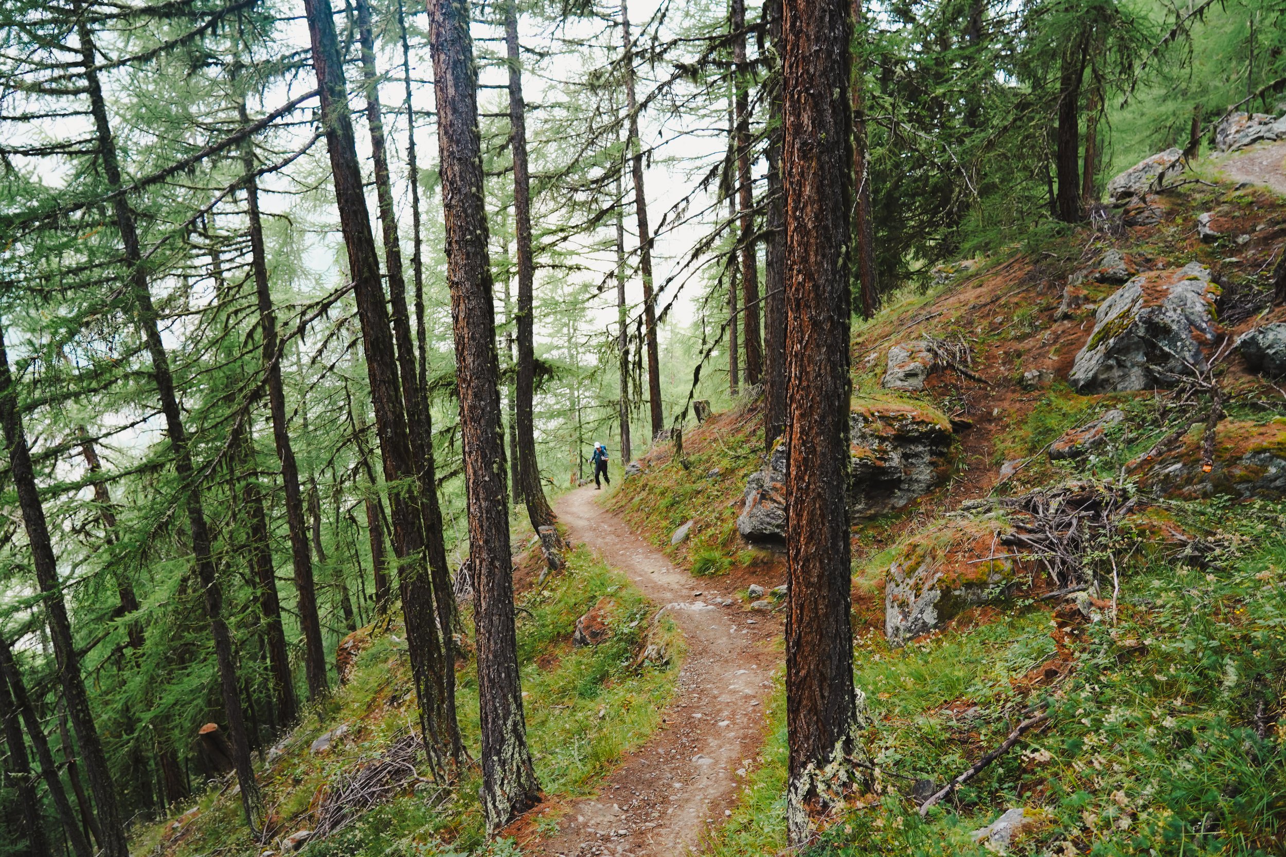 kevin edits (c) @stewgetsbuckets-1-4.jpg