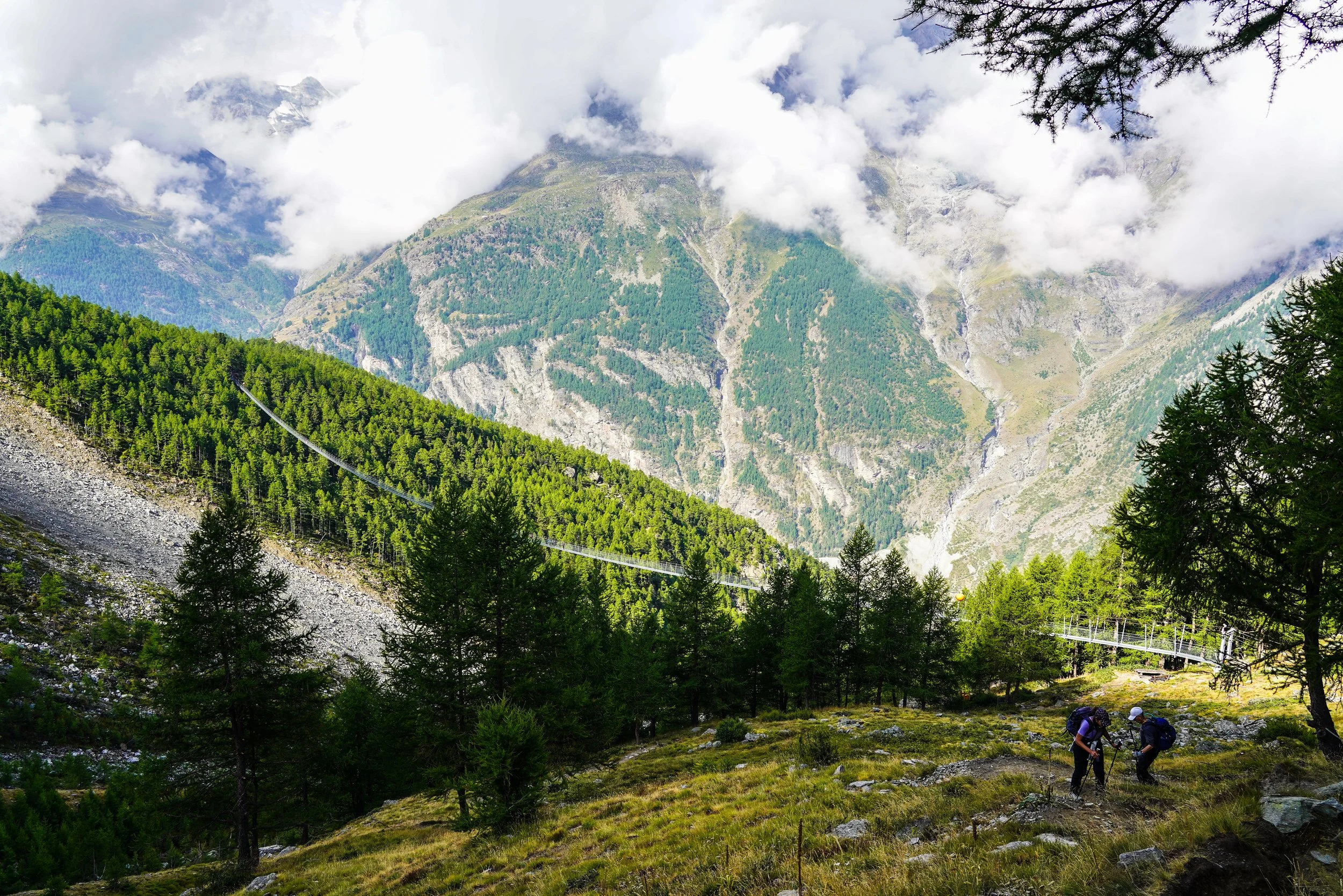 kevin edits (c) @stewgetsbuckets-1-6.jpg