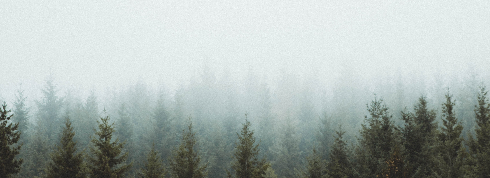 clement-m-429812-unsplash.png