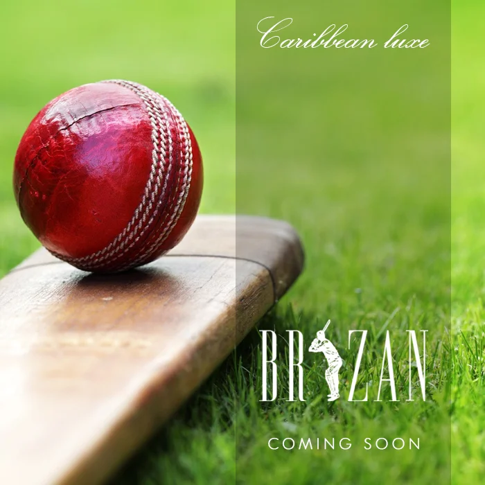 BRIZAN_Coming-Soon_bat-and-ball.jpg