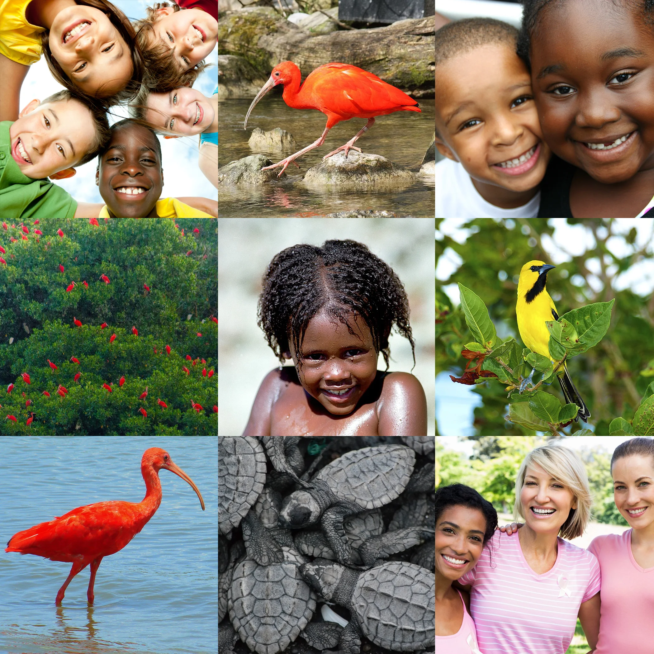 Philanthropy Through Fashion