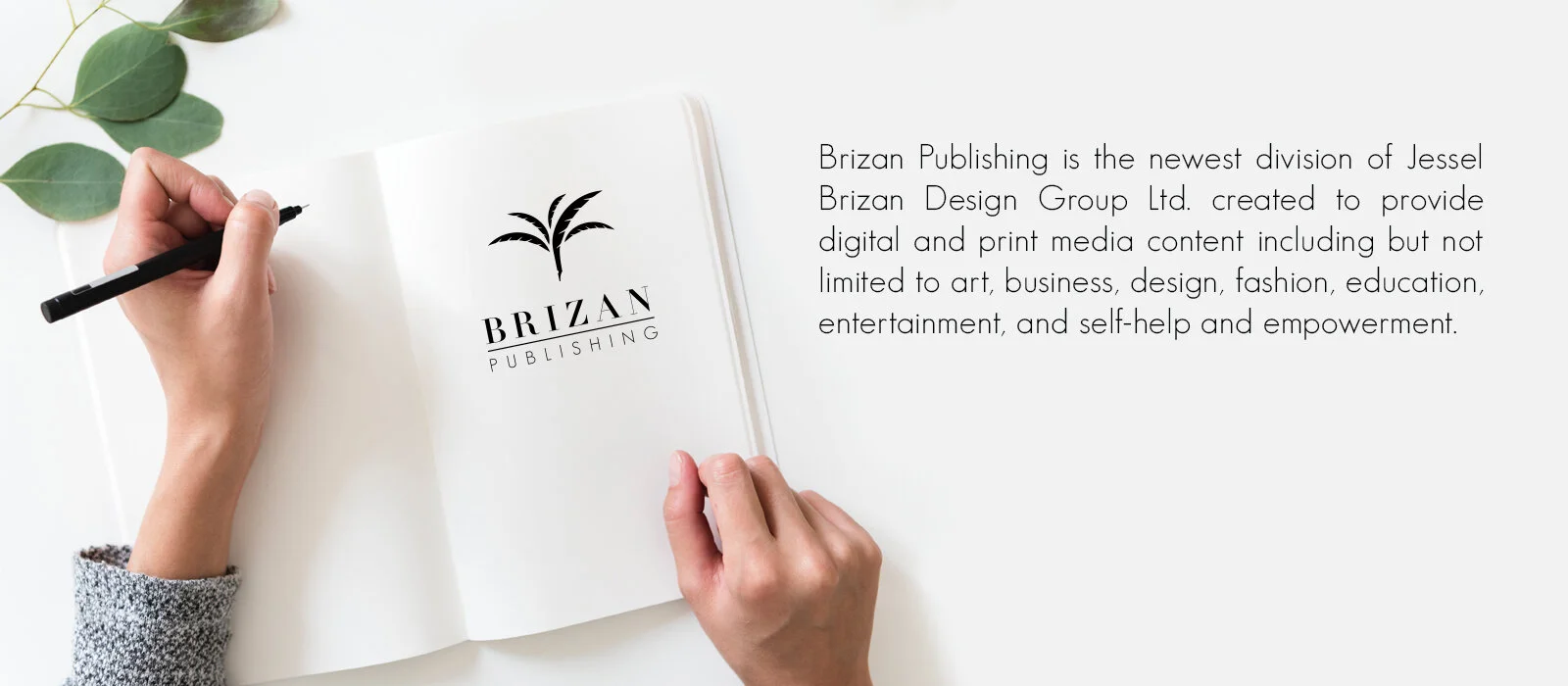 Brizan-Publishing_Home-Page_sub_op3.jpg