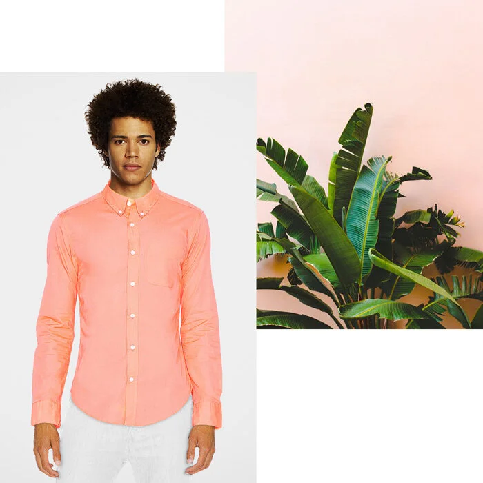 Nautropical - Dry Season 2017