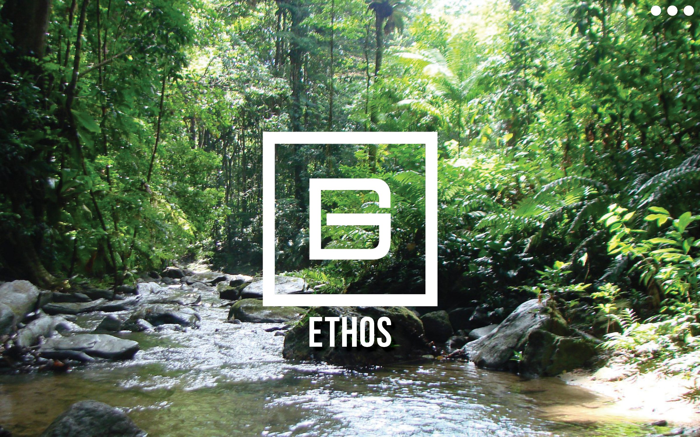 Ethos
