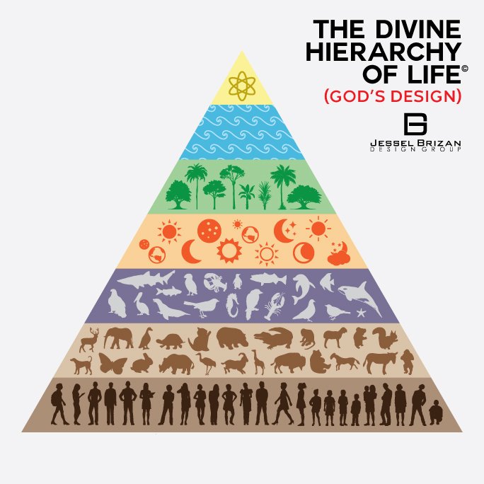The Divine Hierarchy of Life ©