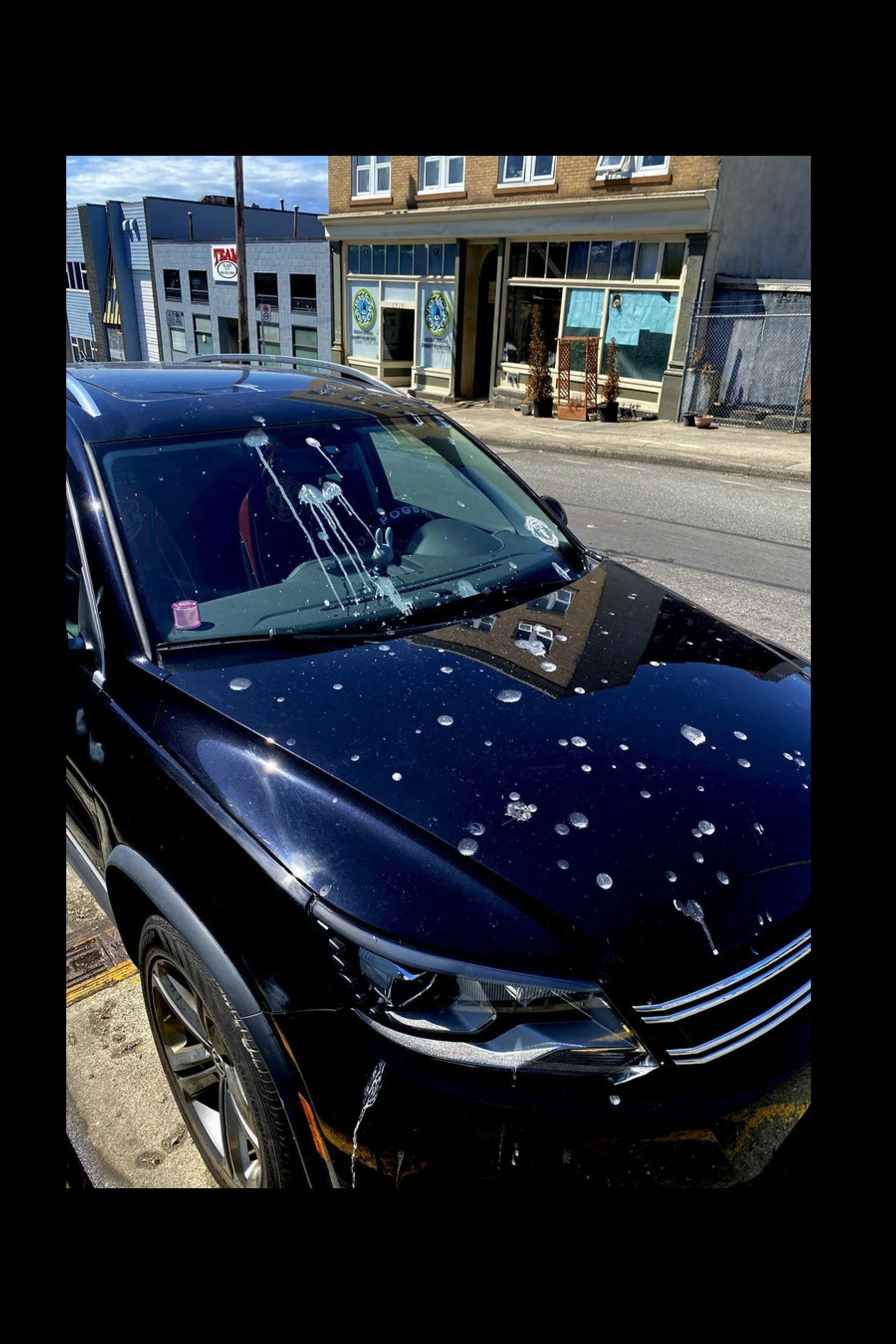 STREET SENSE 2026 PDF-images-9.jpg