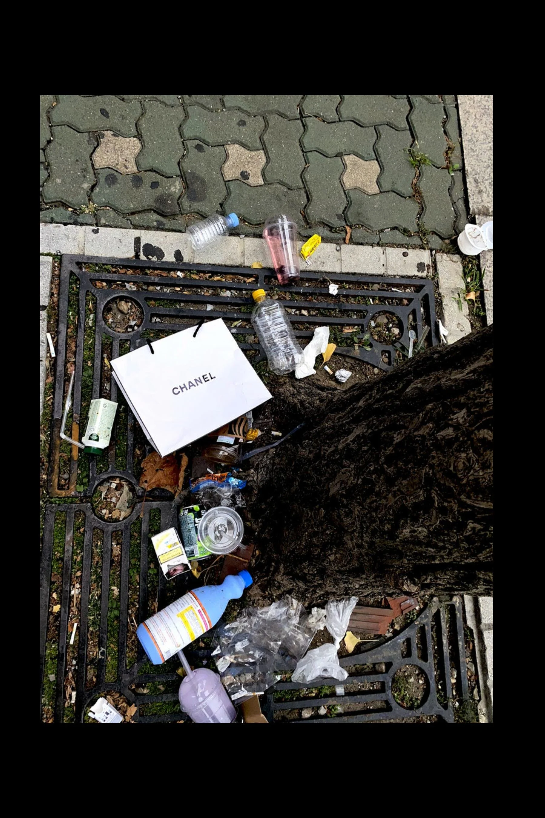 STREET SENSE 2026 PDF-images-17.jpg