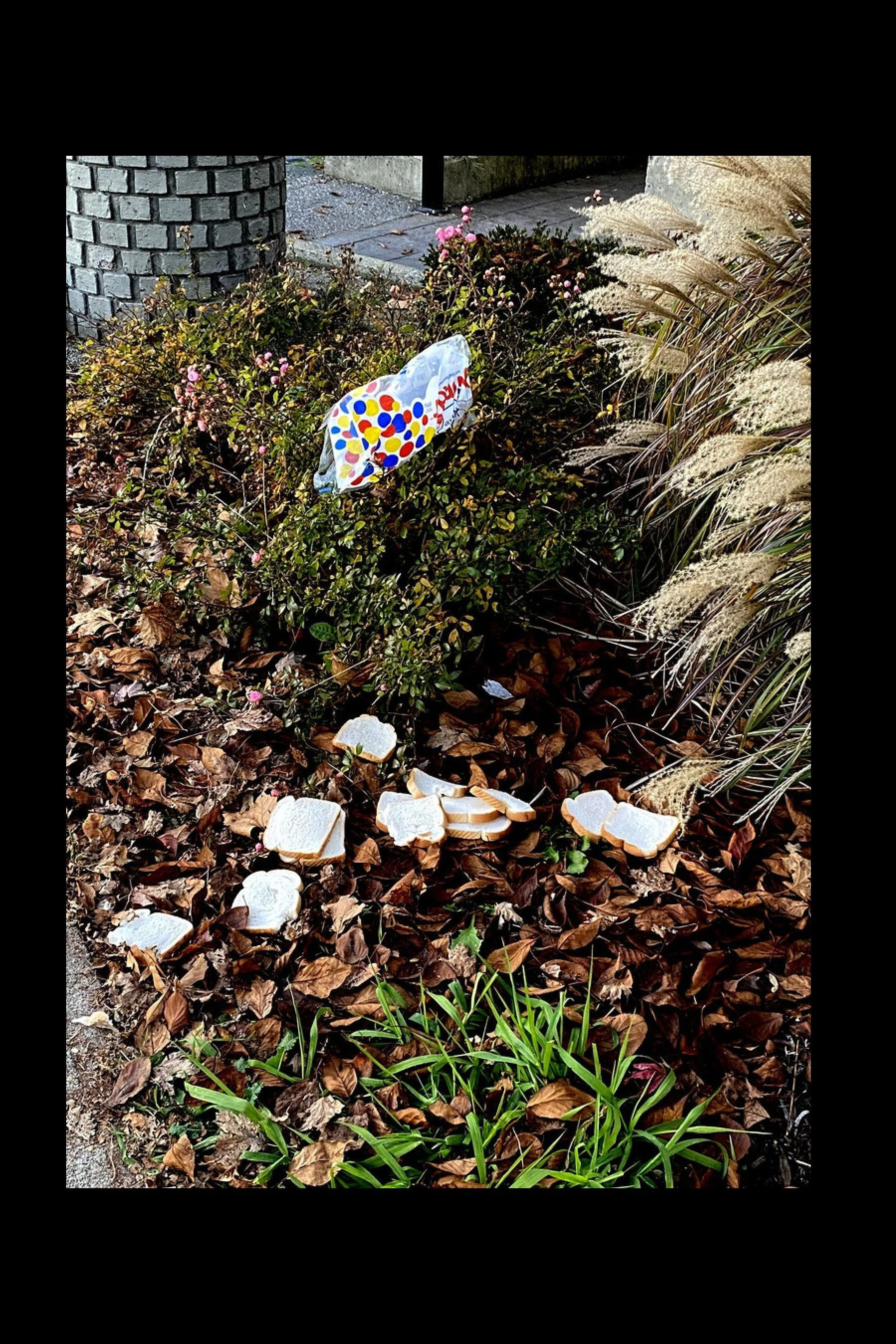 STREET SENSE 2026 PDF-images-47.jpg