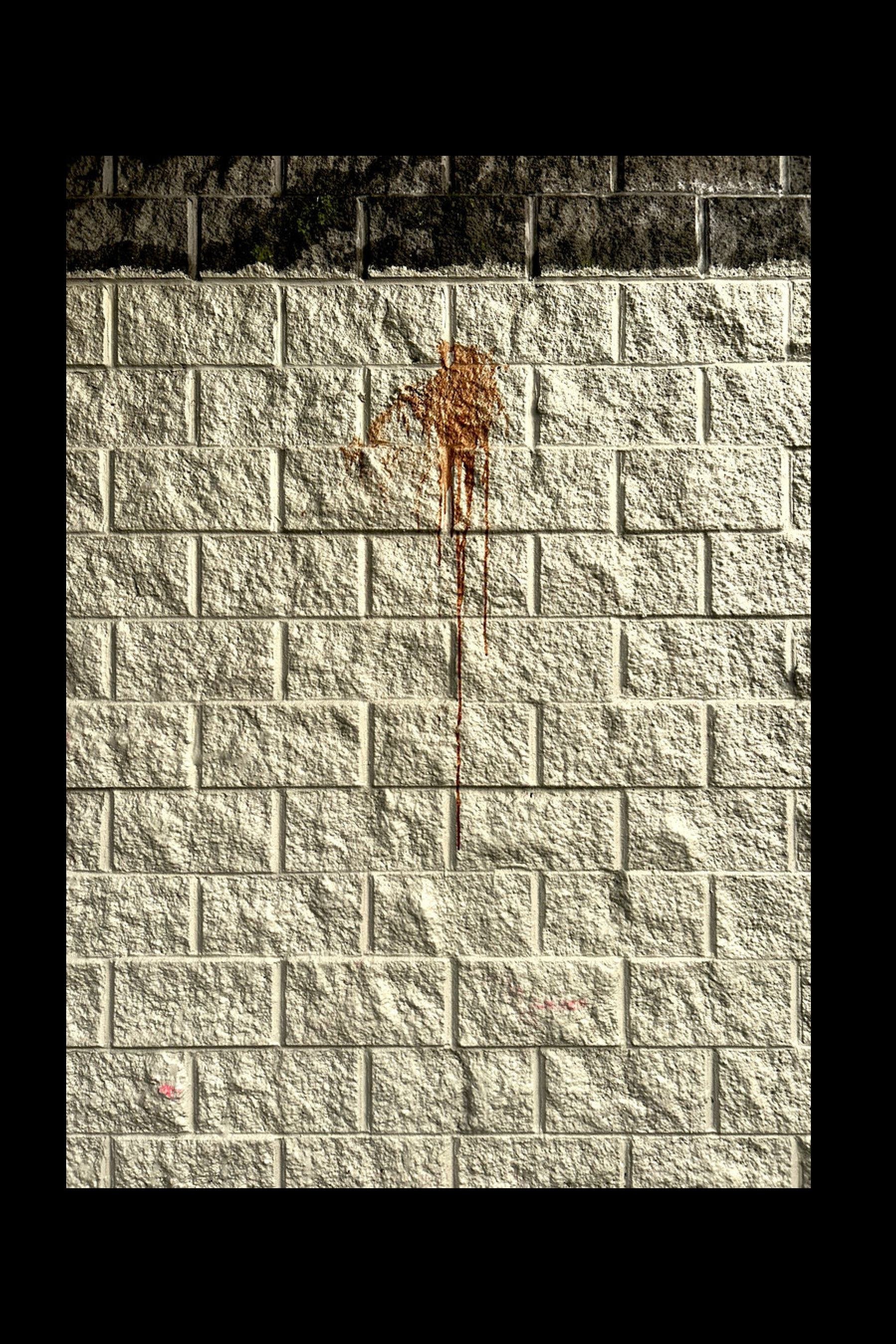 STREET SENSE 2026 PDF-images-51.jpg