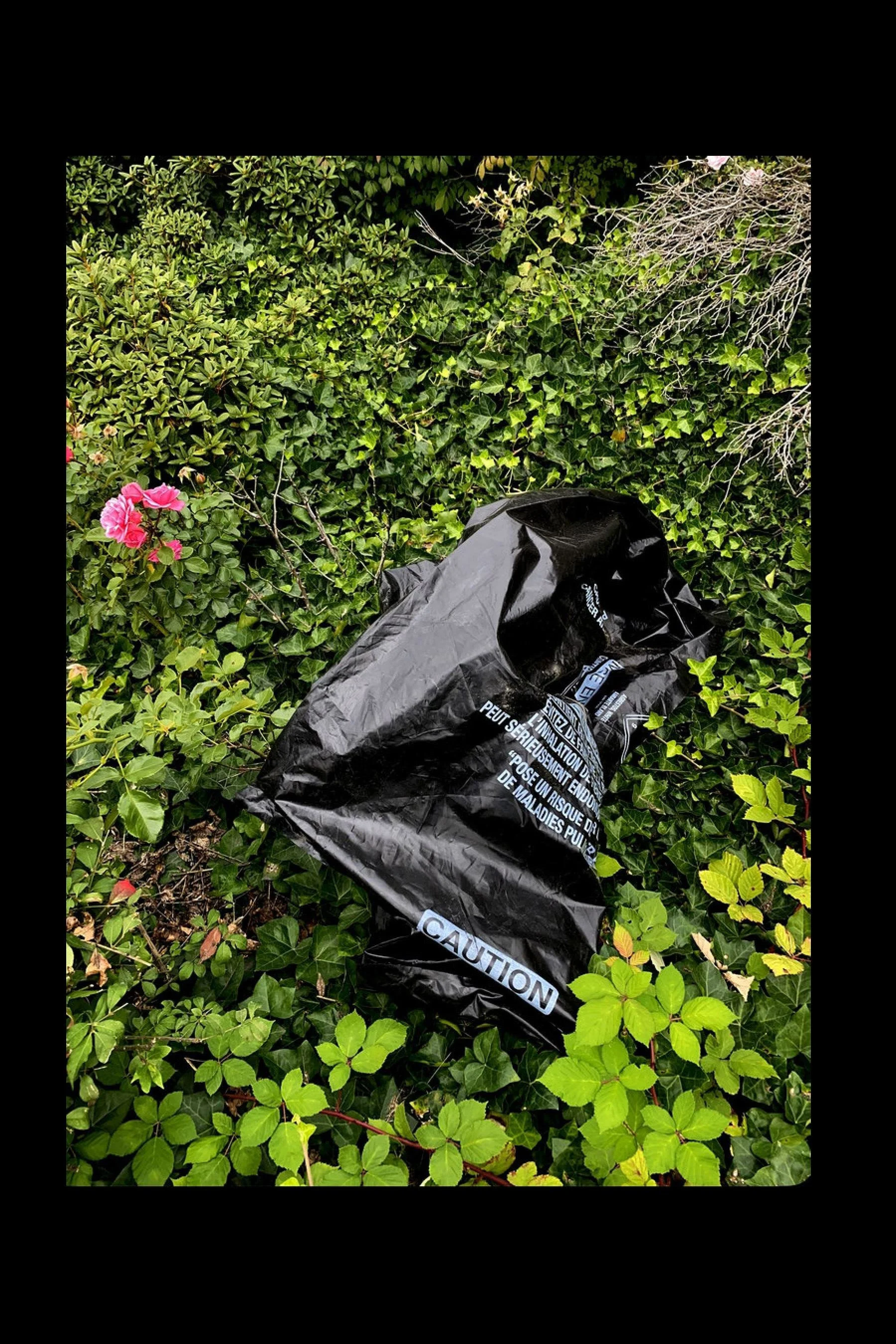 STREET SENSE 2026 PDF-images-69.jpg