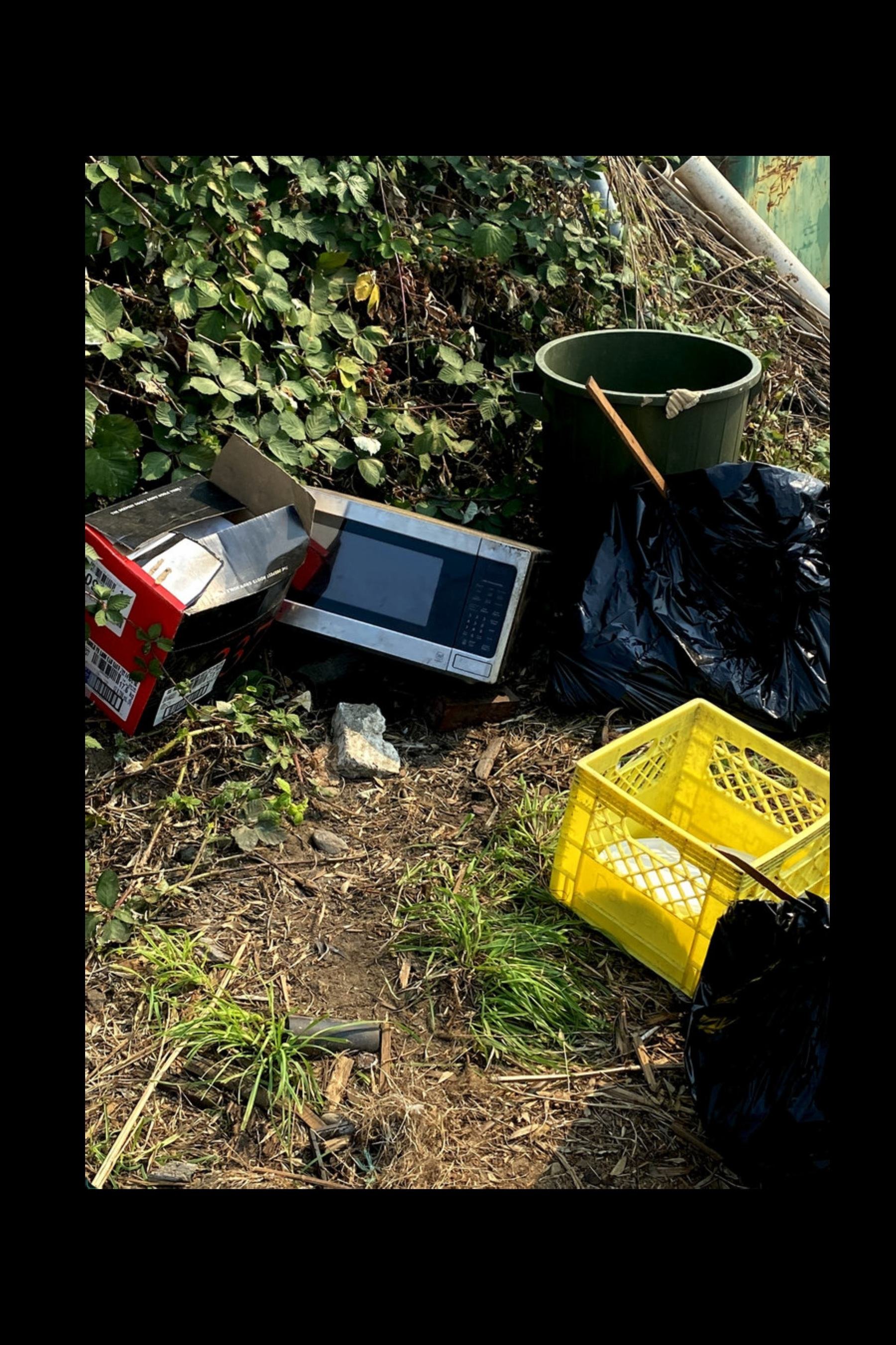 STREET SENSE 2026 PDF-images-70.jpg