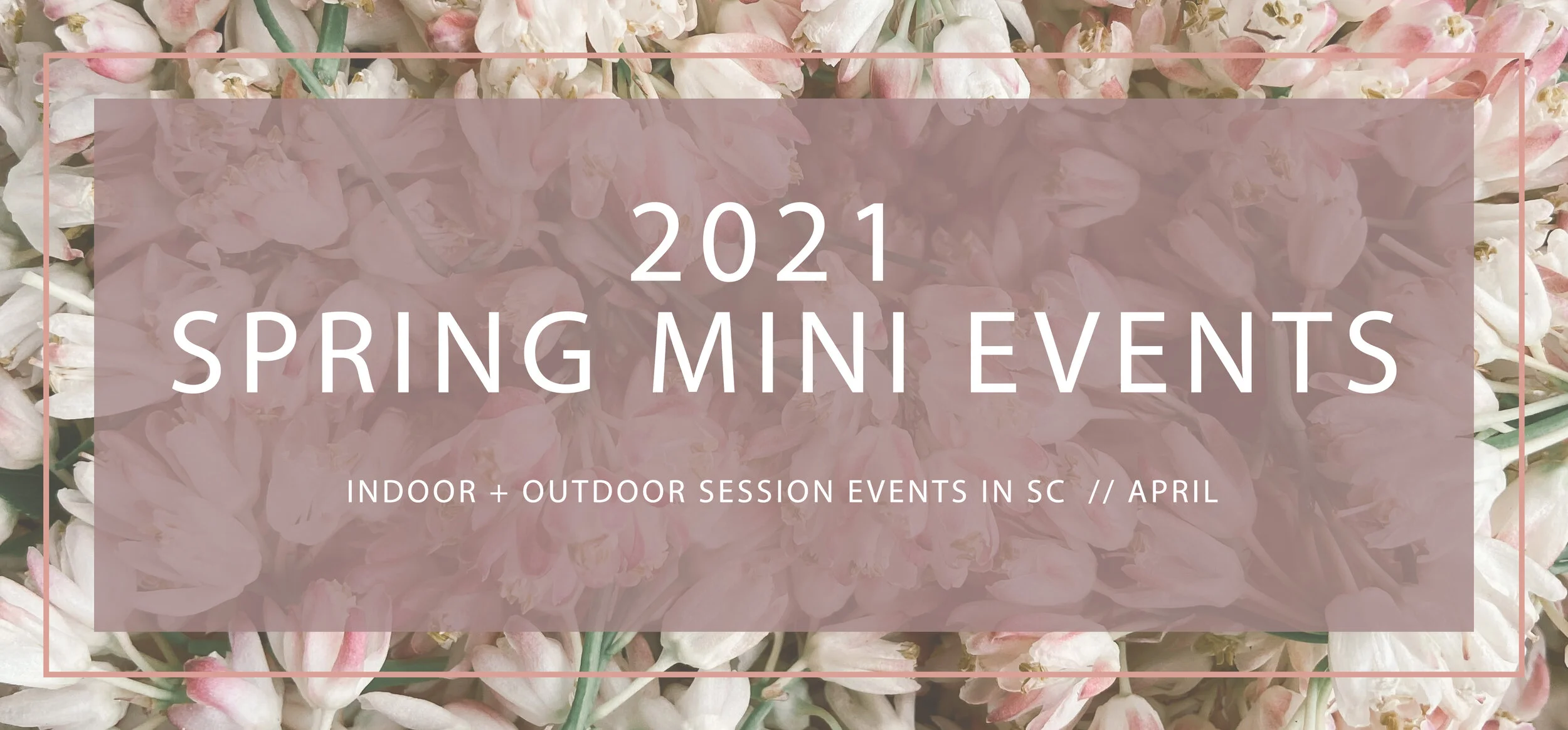 Spring Mini Events Banner.jpg