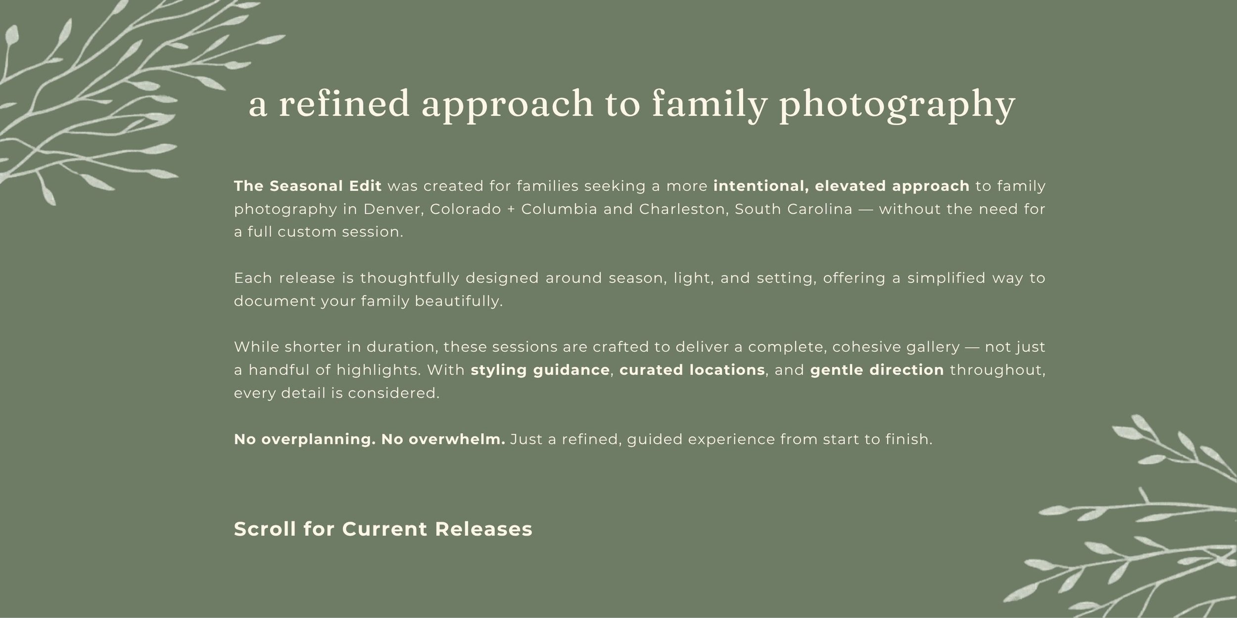 the seasonal edit seasonal family photoshoots south carolina family photographer