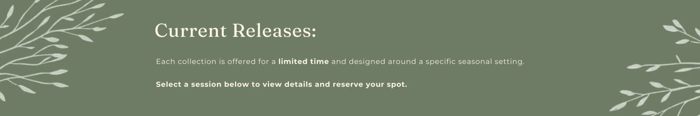 Seasonal Edit South Carolina family photography mini photoshoots