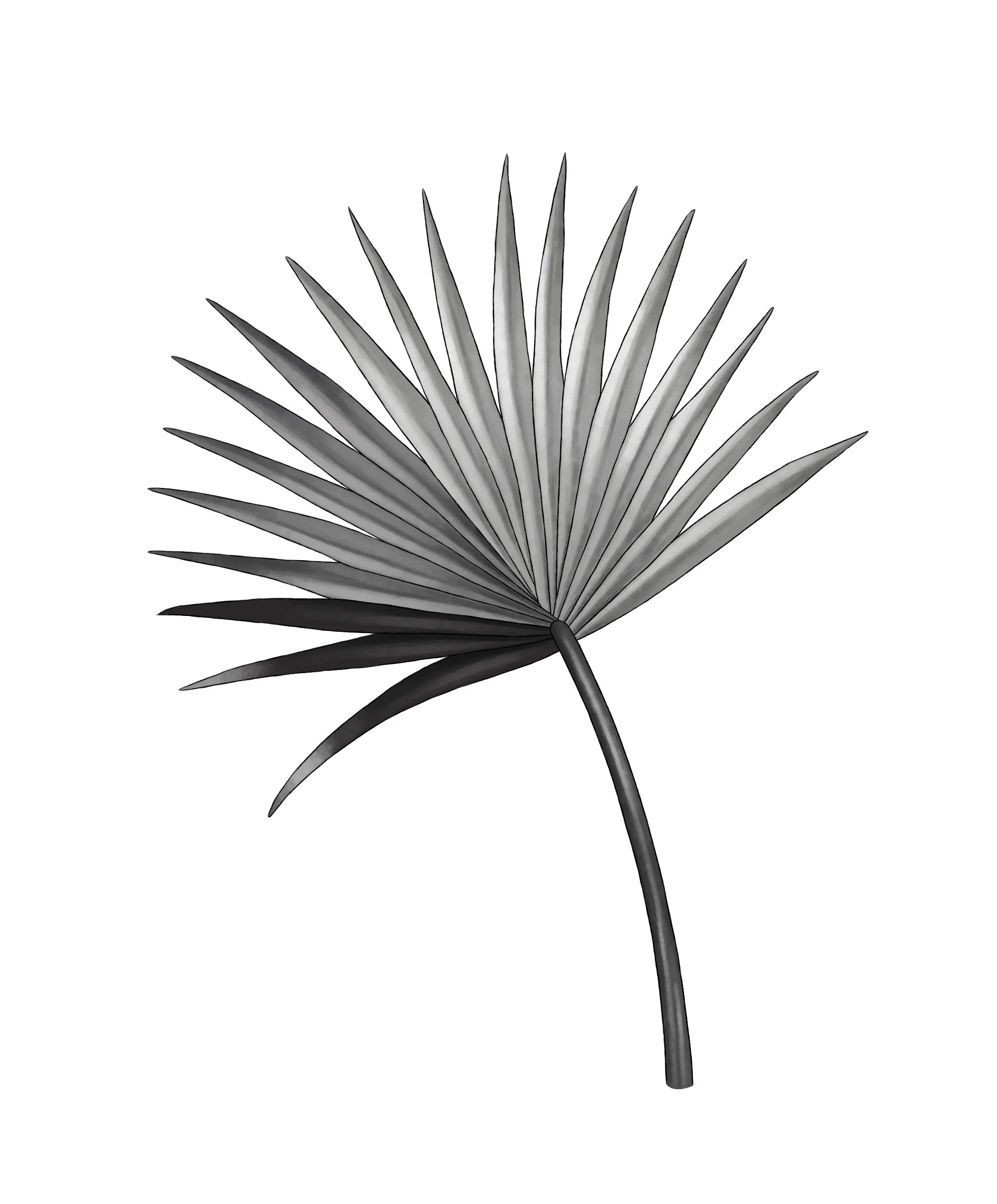 Plant Science ... A Refresher