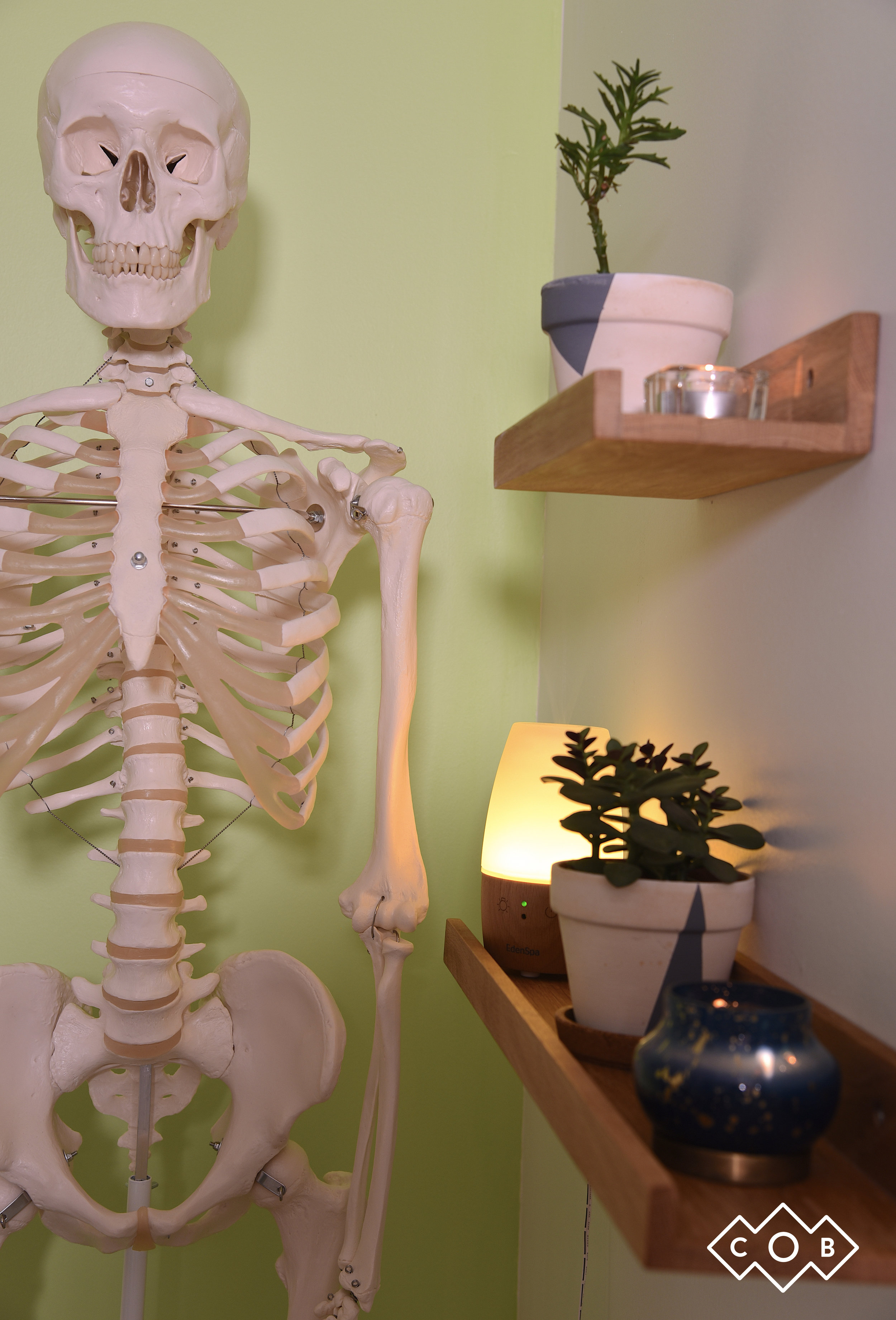 Centre-osteopathie-berri-squelette-salle1.jpg