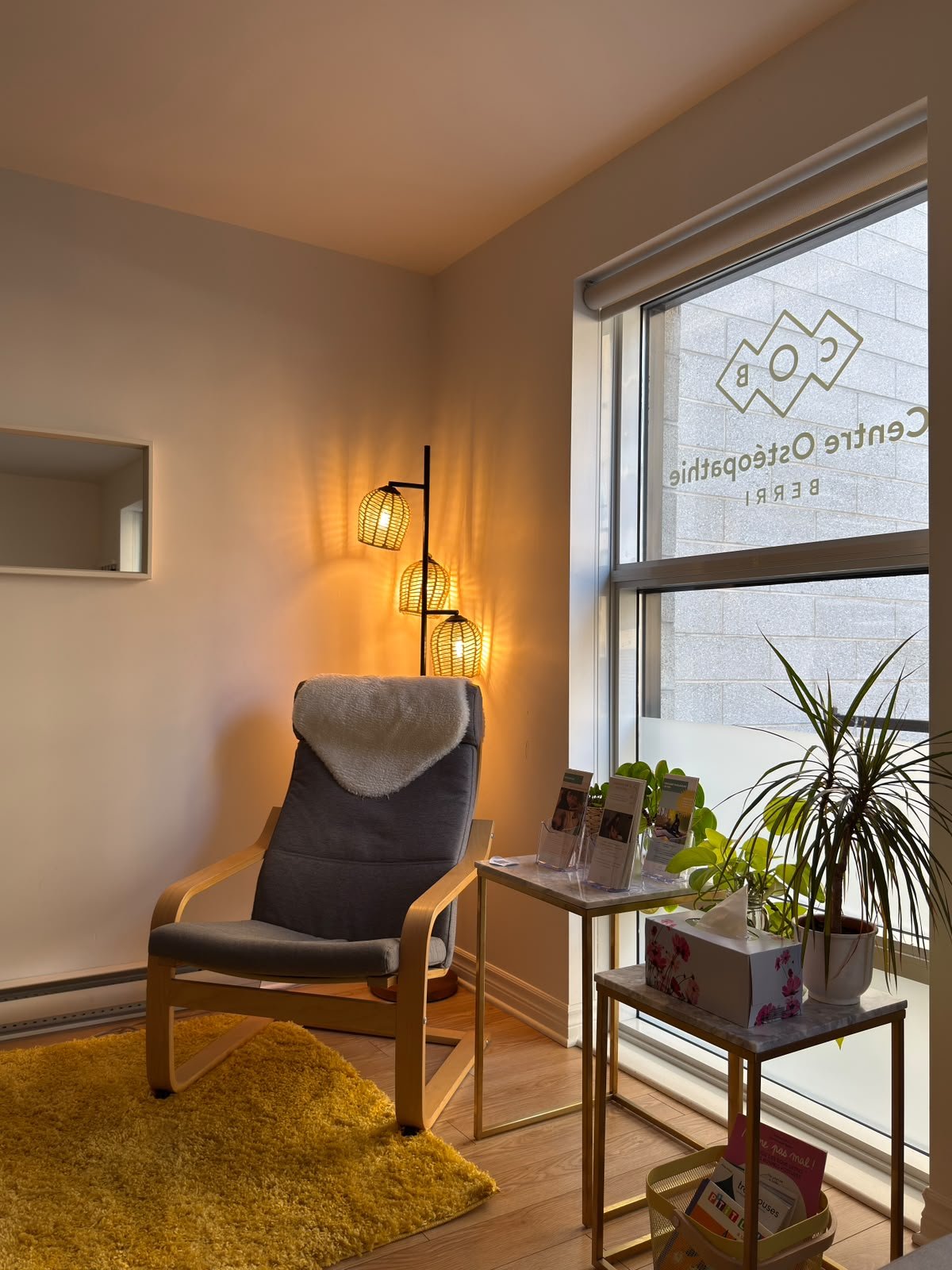 centre-osteopathie-berri-COB1.JPG