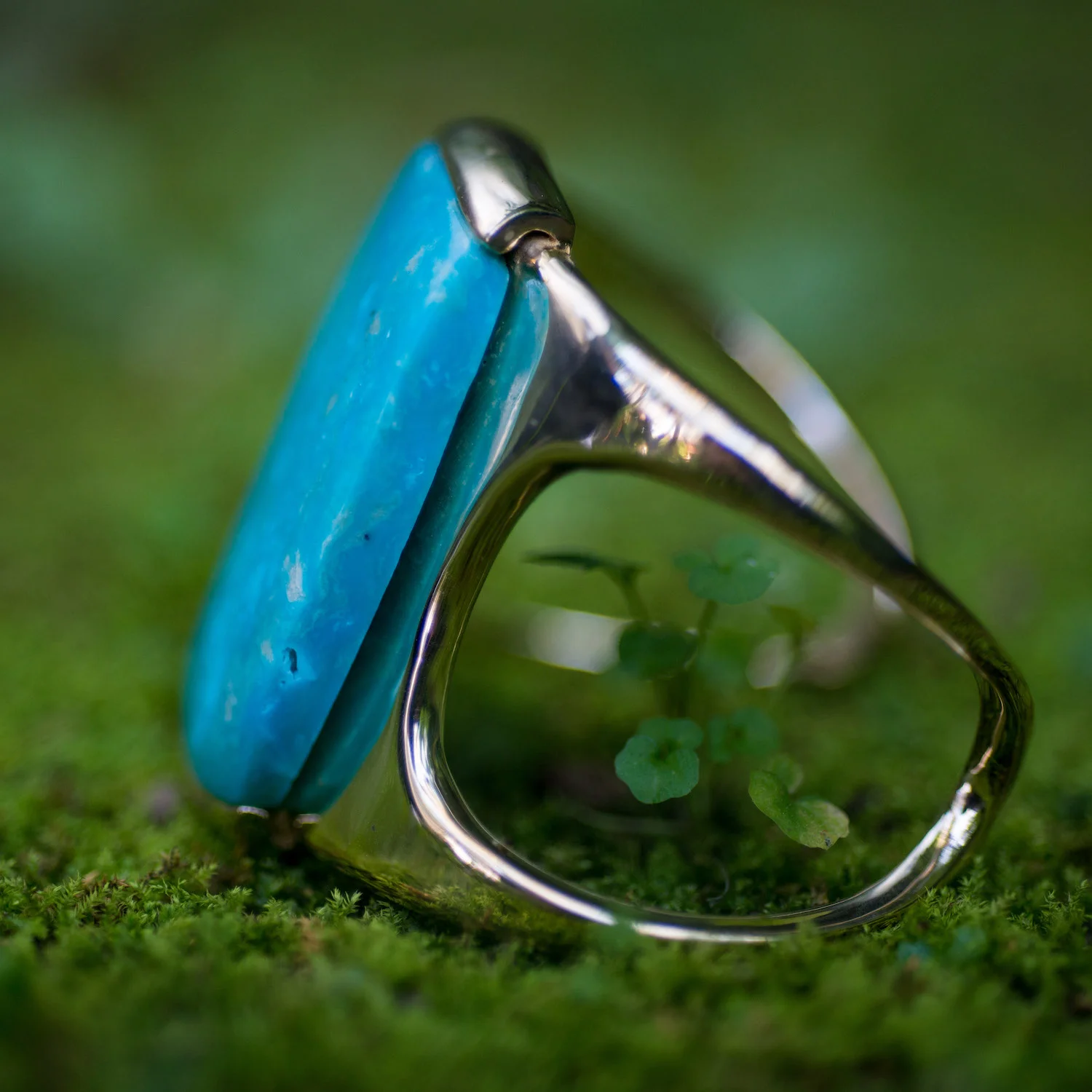 Kingman Turquoise