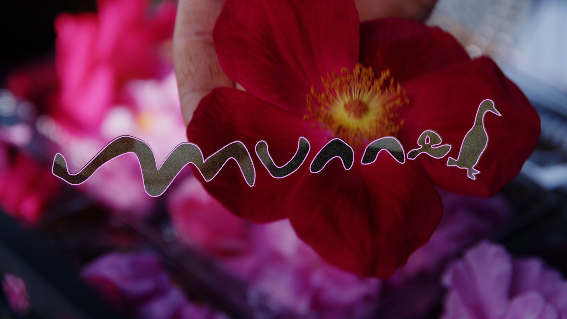 FLOWERS.00_04_18_11.Still001.jpg