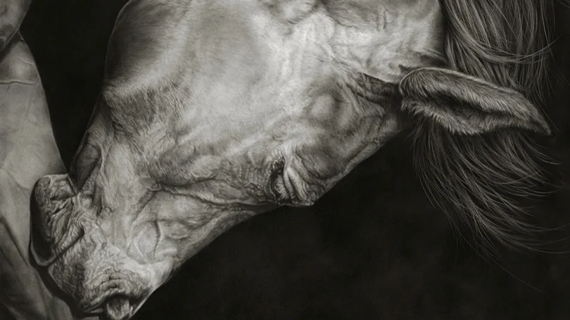 Orlando-+Horse+40x36+copy.jpg